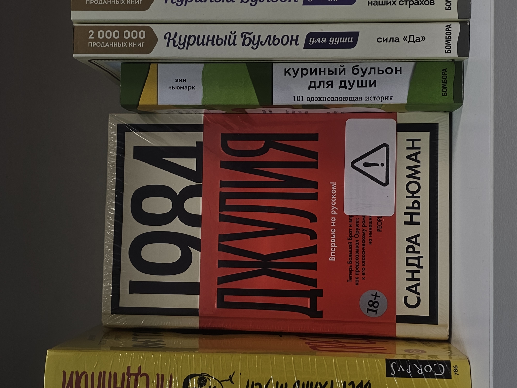 The image shows a stack of books on a shelf, featuring titles in Russian. At the top are two editions of "Chicken Soup for the Soul", one with the text "2 000 000 sold copies". The book in the middle features "1984" by George Orwell, with a red sticker overlay that contains a warning symbol and the text "18+" indicating mature content. The author's name, "Sandra Newman", is displayed on the side. Part of another book is visible at the bottom, bearing the label "CORPUS". The environment is simple, suggesting an indoor setting.