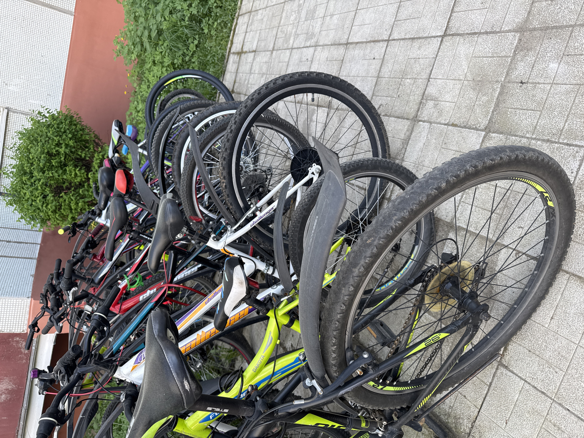 The image shows a row of bicycles parked on a paved surface. The location is likely Chaikovsky, Russia, based on the instructions. The bicycles are various colors and models, with some overlapping. Vegetation is visible along the edge of the parking area, and a building with a reddish-brown wall is in the background. There are no visible people or interactions in the image.