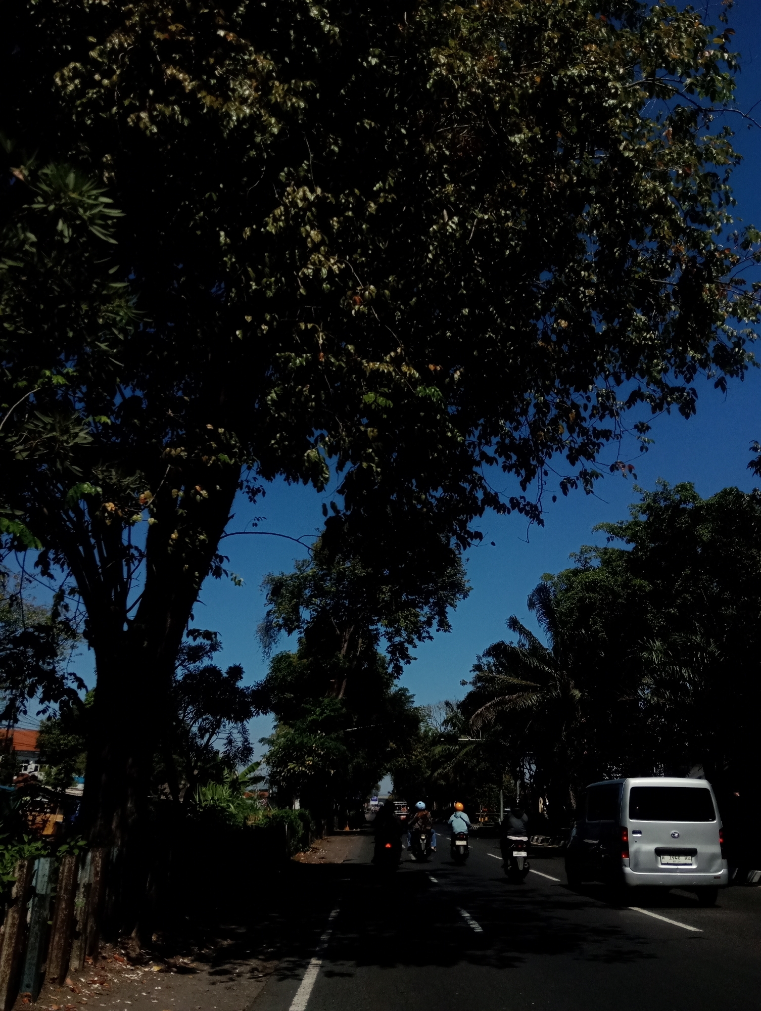 In Sawotratap, Indonesia, the image depicts a street scene under a clear blue sky, heavily shaded by lush green trees. A prominent, large tree trunk dominates the left side of the frame, its dense foliage casting deep shadows. The road, paved with asphalt, features white lane markings. Several motorcycles are in motion on the road, with riders visible on them. A silver van, identified by its license plate "H 1940 RG," travels in the right lane. The background reveals more trees and some buildings. The overall impression is one of a sunny day with significant tree cover along a road.