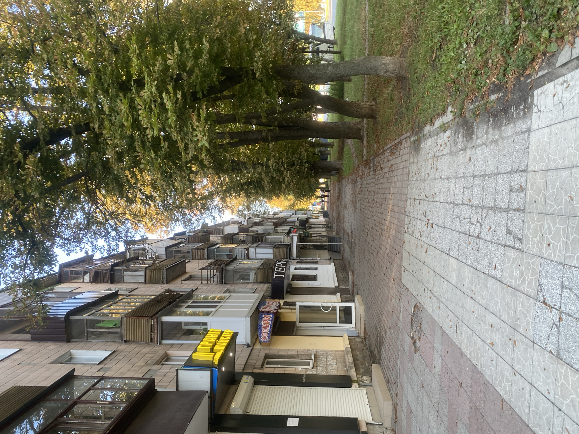The image depicts a street scene in Poltava, Ukraine, featuring a long, multi-story apartment building on the left and a row of mature trees lining a sidewalk and grassy area on the right. The building has a beige-toned facade with balconies, some enclosed and some open with wooden railings. Several shops with storefronts are visible at ground level, identified by signs in Cyrillic script, including "ГРАНIТ МАЙСТЕР" (Granit Master), "ЗООТОВАРИ" (Zootovary - Pet Supplies), and "ТЕРРО" (Terro). The sidewalk is paved with a patterned tile and appears slightly worn, with fallen leaves scattered across it, suggesting an autumn season. The trees are leafy and verdant, with sunlight filtering through their branches, casting dappled light on the scene. Beyond the trees, a road is visible with a white bus in the distance. A few individuals are walking along the sidewalk in the middle ground, moving away from the viewer. The overall atmosphere is calm and urban, typical of a residential and commercial street in a Ukrainian city.