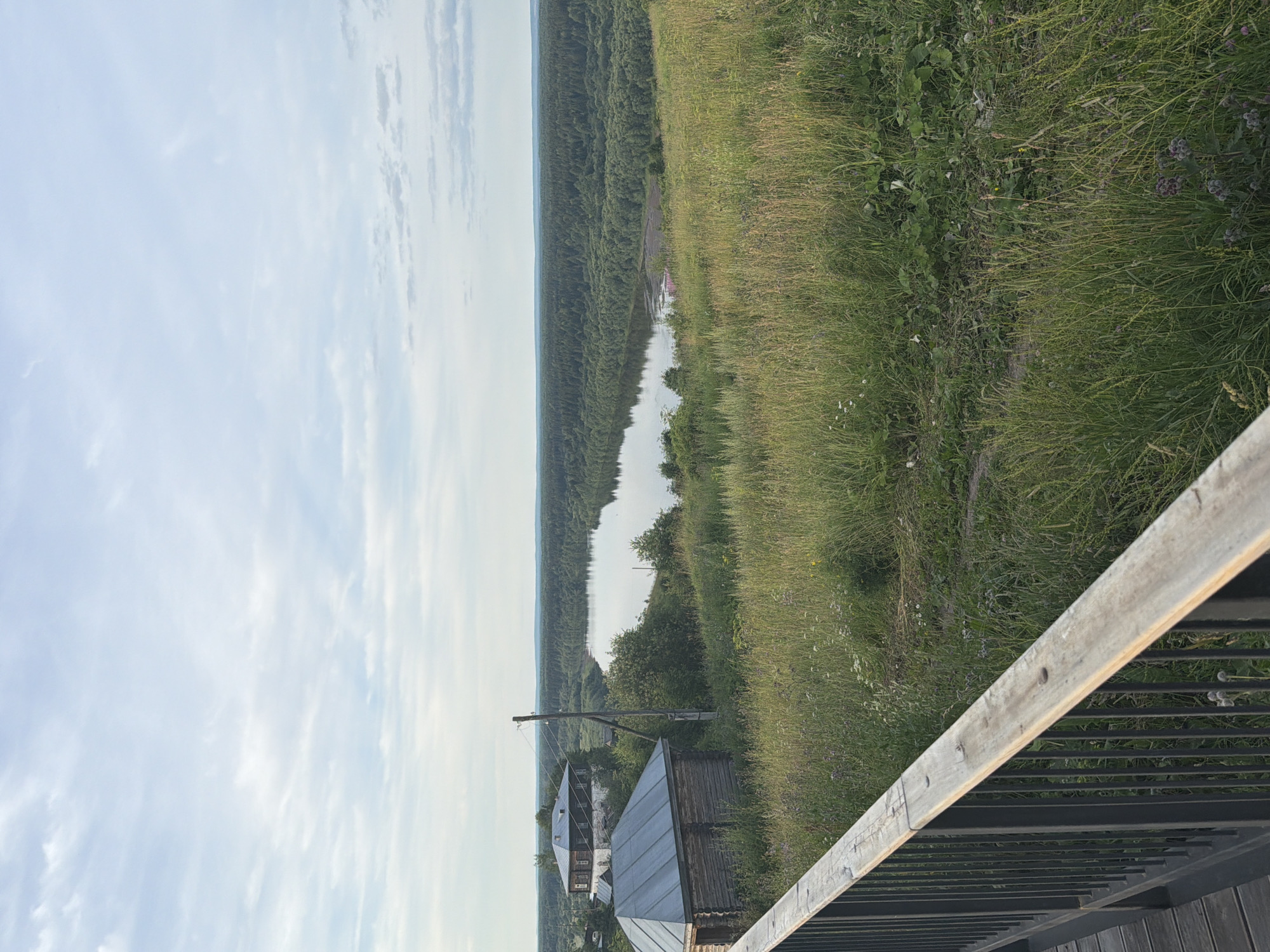 The image depicts a scenic overlook in Cherdyn, Russia, featuring a wide, calm river flowing through a dense, green forest. The foreground is dominated by a wooden railing and walkway, with tall, wild grasses and scattered wildflowers on a hillside. Two rustic wooden structures, resembling traditional Russian houses or outbuildings, are visible on the left side of the frame, with one appearing older and more traditional than the other. A utility pole with wires stands between the structures and the river. The sky is partly cloudy with a soft, diffused light, suggesting it is either early morning or late afternoon. The overall impression is one of rural tranquility and natural beauty.