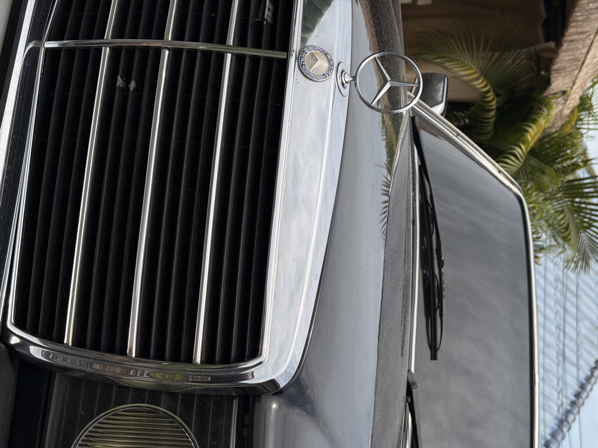 A close-up, eye-level shot focuses on the front grille and hood of a black Mercedes-Benz car, parked outdoors. The car is positioned centrally, with its chrome grille, emblem, and hood dominating the frame. The grille is composed of horizontal black slats bordered by chrome trim. Above the grille sits the iconic Mercedes-Benz three-pointed star emblem on a stand, and a circular badge bearing the "Mercedes-Benz" logo. The car's hood is dark and slightly dusty, reflecting the overhead sky and surrounding environment.
In the background, out of focus, are elements of a tropical setting in Ko Samui District, Thailand. A thatched roof structure is visible on the left, partially obscured by lush green palm fronds. The sky appears overcast, with a hint of blue peeking through. The overall environment suggests a warm, possibly humid climate. No people are visible in the image. The scene appears static, with no apparent action or interaction.