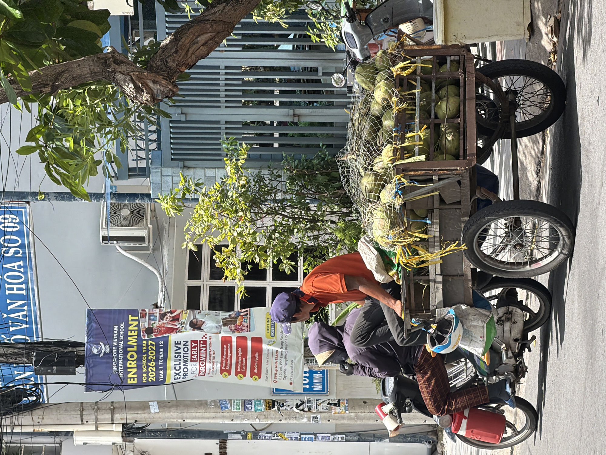 Two individuals are seated on a motorcycle that is pulling a cart filled with coconuts. The motorcycle is dark colored, and the cart is made of metal and wood. The coconuts are covered with a net and yellow twine. A person in an orange shirt and a blue cap is sitting in the front, while the other person, wearing a hooded jacket and a patterned mask, is sitting behind.
The motorcycle and cart are on a paved street, with a sidewalk and a building behind them. A banner for "SINGAPORE VIETNAM INTERNATIONAL SCHOOL" is visible on the left side of the image, indicating the location is likely near the school. A sign above the building reads "VAN HOA SO 09". A tree with green leaves is growing on the right side of the image. The scene appears to be in Nha Trang, Vietnam, suggested by the school banner referencing "SV IS @ NHA TRANG" and the street name "Tran Phu Street, Vietnamese". The sky is clear and the lighting suggests it is daytime.