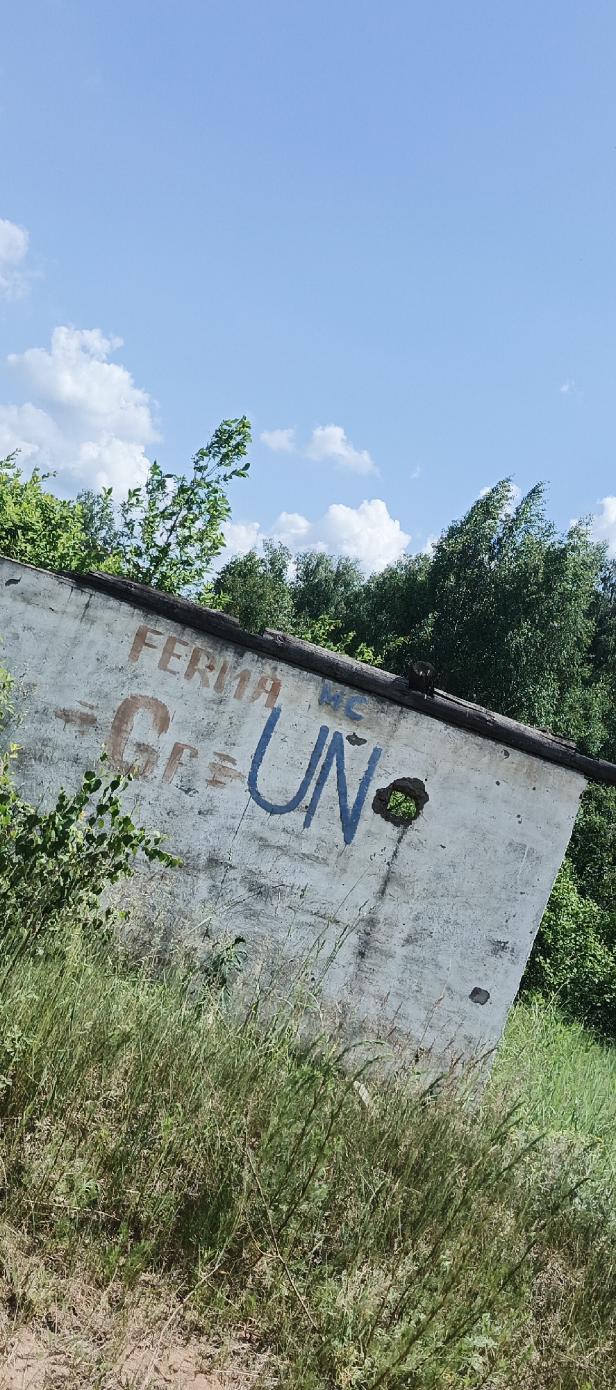 The image shows a weathered, concrete structure with graffiti, set against a backdrop of a blue sky with scattered clouds and lush green trees. The graffiti on the structure reads "FERMA MC" in brown and "GRUN" in blue. The concrete appears to be part of an abandoned building, as indicated by its dilapidated state and the overgrowth of grass and vegetation surrounding it. The scene suggests a rural or semi-rural environment, possibly on the outskirts of Bol'shoi Bukor, Russia. The lighting suggests it is daytime, likely late morning or early afternoon, given the bright sunlight. There are no people or animals visible in the image. The overall impression is one of abandonment and decay, with nature slowly reclaiming the man-made structure.