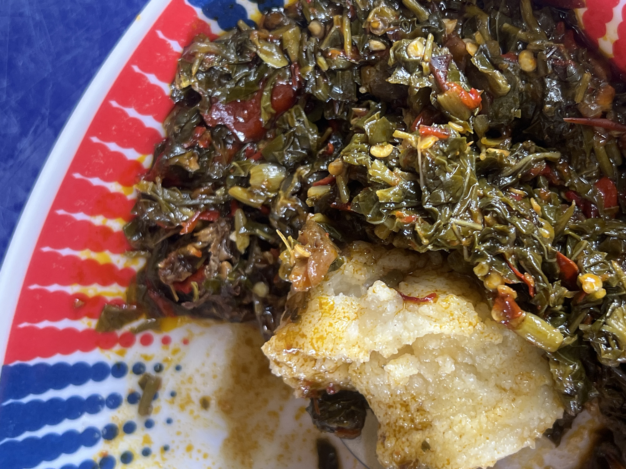 A close-up, overhead view depicts a serving of food on a white plate with a patterned rim. The rim features a repetitive design of red wavy stripes on a yellow background, alternating with sections of blue dots on a white background. On the left side of the plate, a mound of light-colored, granular starchy food, resembling fufu or pounded yam, is visible, partially coated with a reddish-orange oil or sauce. To the right of the starchy food, a dark green stew, composed of chopped leafy vegetables, small red pepper pieces, and other fine inclusions, is present. The stew appears moist and glossy with oil. A uniform blue surface serves as the background beyond the plate. The scene is located in Jalingo, Nigeria.