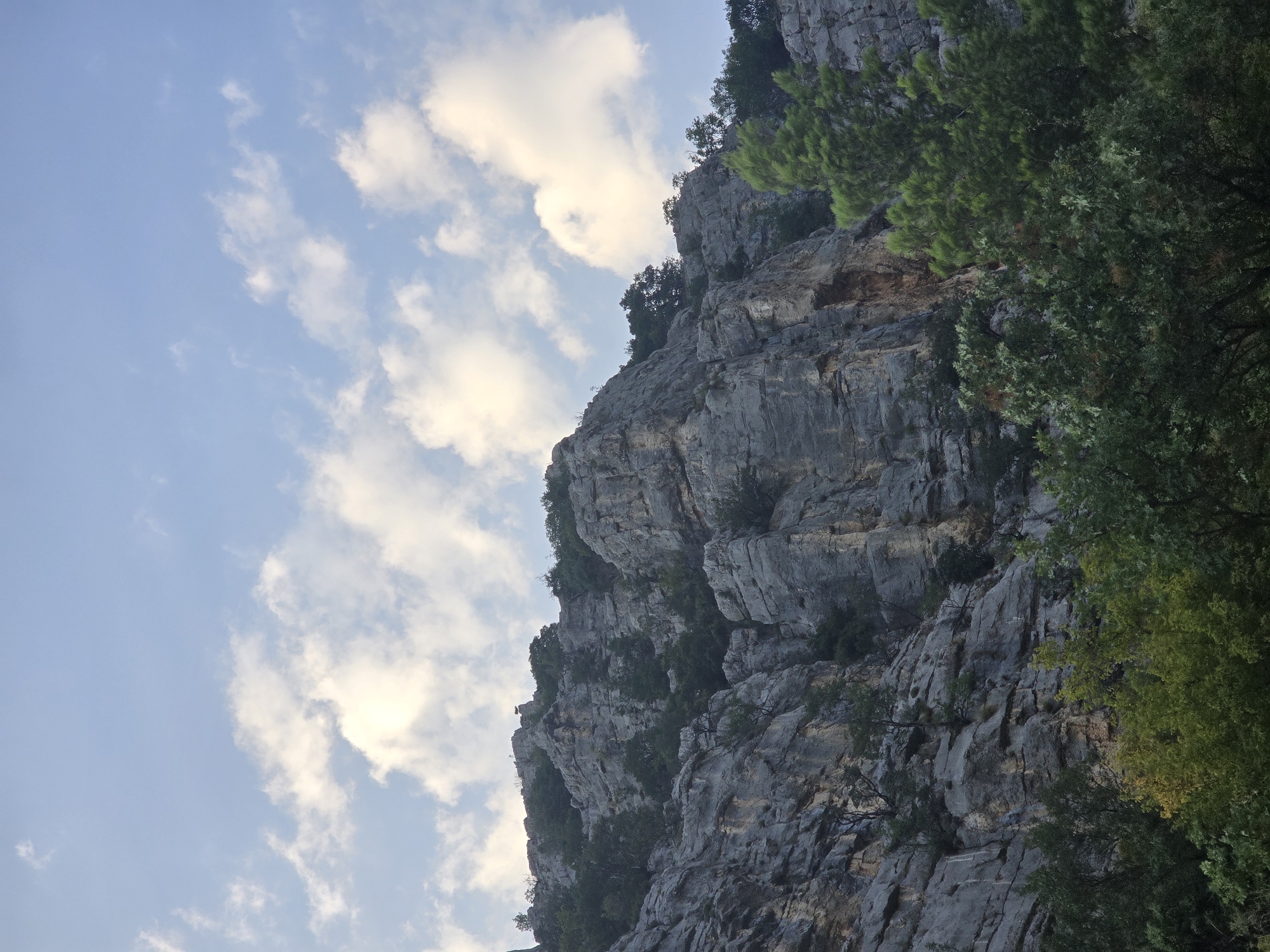The image shows a steep, rocky cliff face covered in sparse vegetation, with a blue sky and scattered white clouds above. The cliff appears to be made of greyish-brown rock with visible strata and crevices. Small trees and shrubs grow in patches on the cliff face and along its base. The foreground is dominated by the dense green foliage of trees. The scene suggests a natural, mountainous environment. Given the context of Podgorica, Montenegro, this could depict a view of the surrounding hills or mountains like Gorica hill or the Malo brdo, which are common natural features on the outskirts of the city.