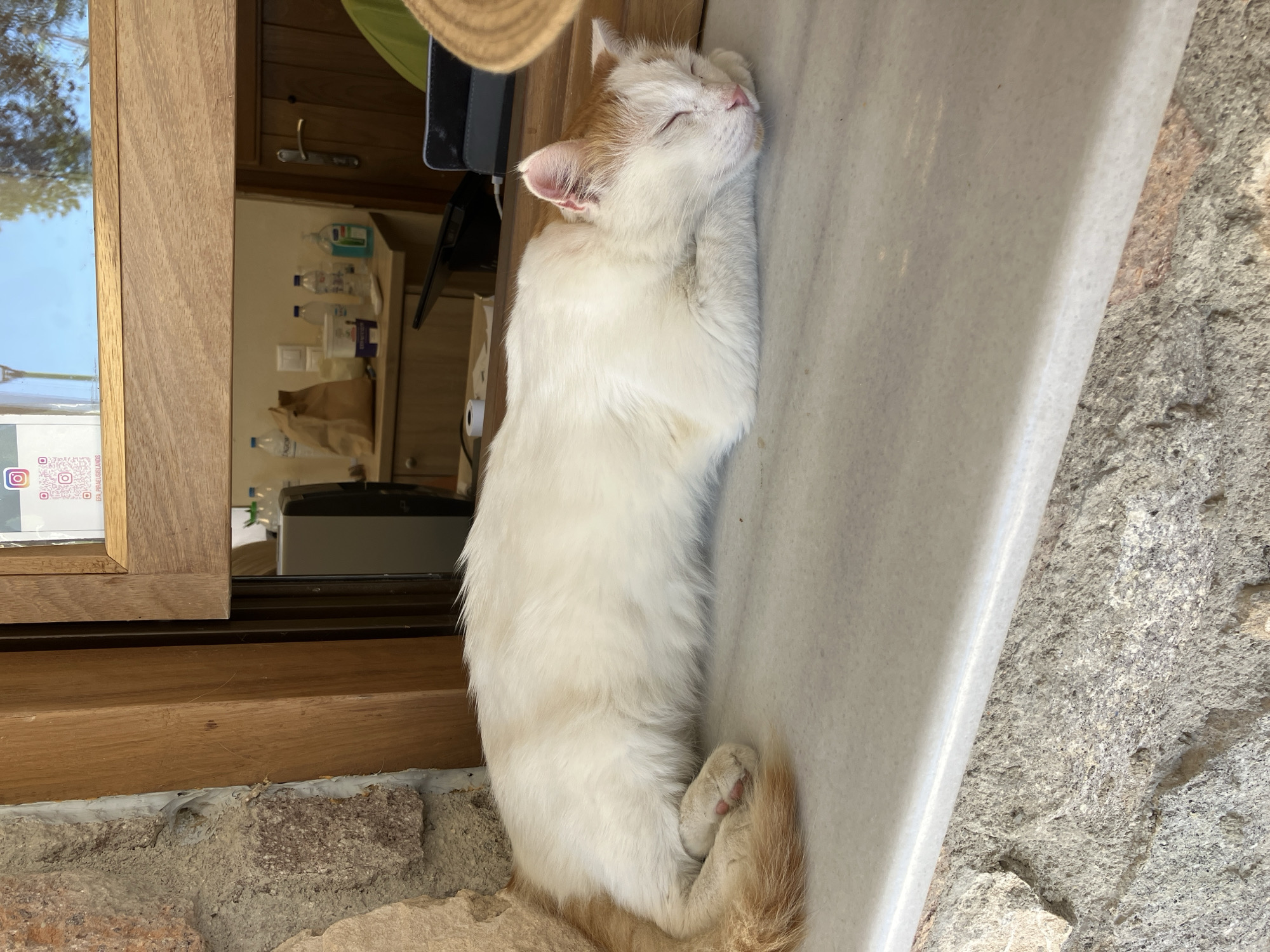 A ginger and white cat is sleeping curled up on a marble windowsill. The cat is resting its head on its paws, with its eyes closed. The windowsill is rough and appears to be made of natural stone. Behind the cat, through a wooden-framed window, a counter is visible with various items including bottles, a paper bag, and a tablet. The scene is set outdoors in Mesagros, Greece, with the natural stone and wooden elements suggesting a rustic Mediterranean setting. The lighting indicates it is daytime.