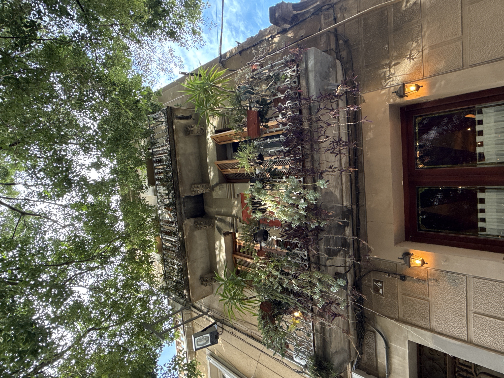 The image shows an exterior view of a building in Barcelona, Spain. The building has multiple balconies adorned with various plants, including succulents and vines. The architecture is characteristic of the city, featuring detailed facades and wrought iron railings. A tree with dense foliage partially obscures the building. Two small, lit wall sconces flank a window. The sky is visible through the leaves, indicating a daytime setting.