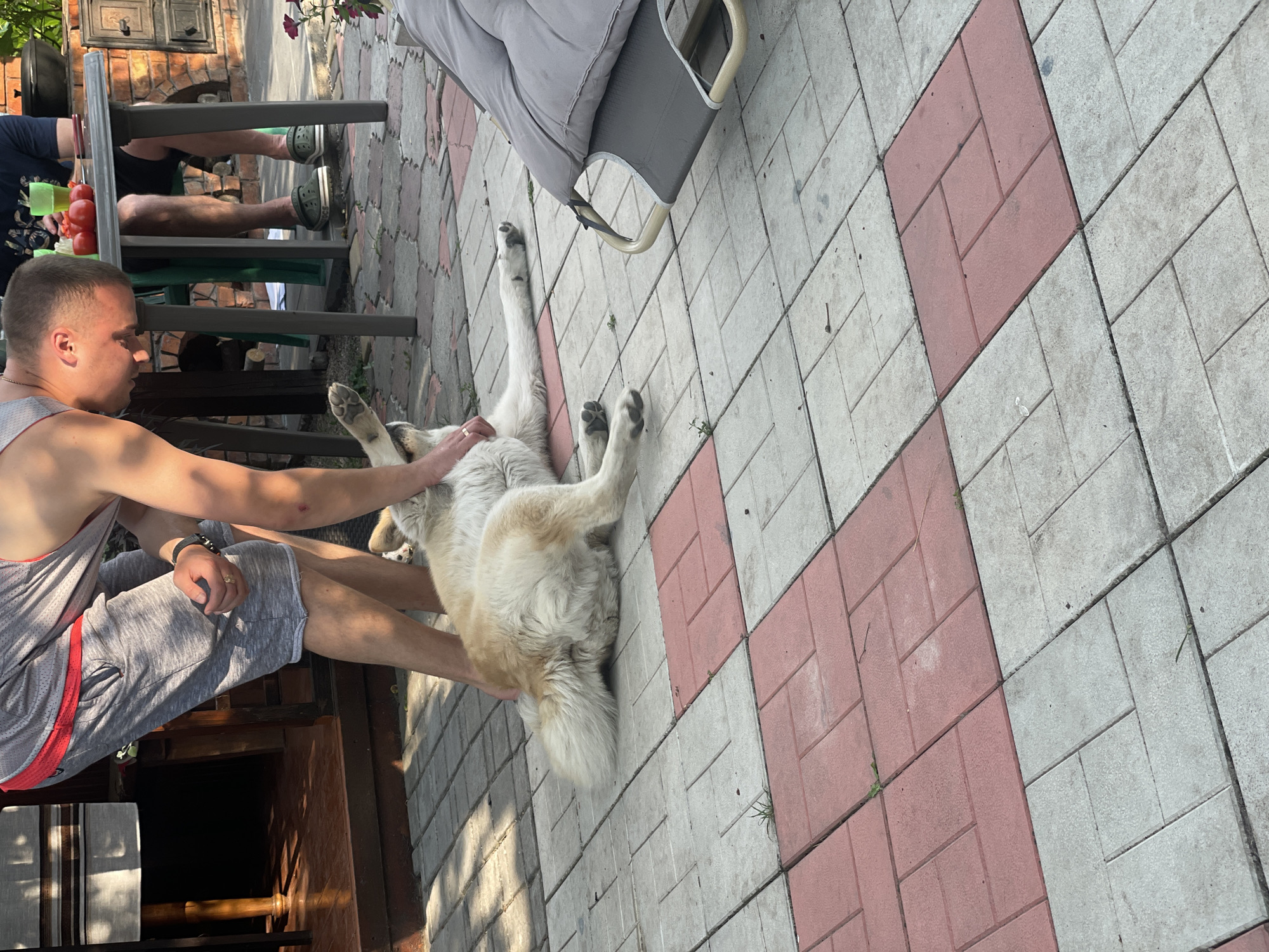 A man in gray shorts with red trim and a gray t-shirt is bending over a light-colored dog that is lying on its back on a red and gray tiled patio. The man's left hand is touching the dog's belly, and his right hand is on its flank. The dog's legs are extended. In the background, another person is seated at a table with red tomatoes on it. The patio is outdoors, with a wall in the background that appears to be made of brick. The image appears to have been taken in Kobeliaky, Ukraine.