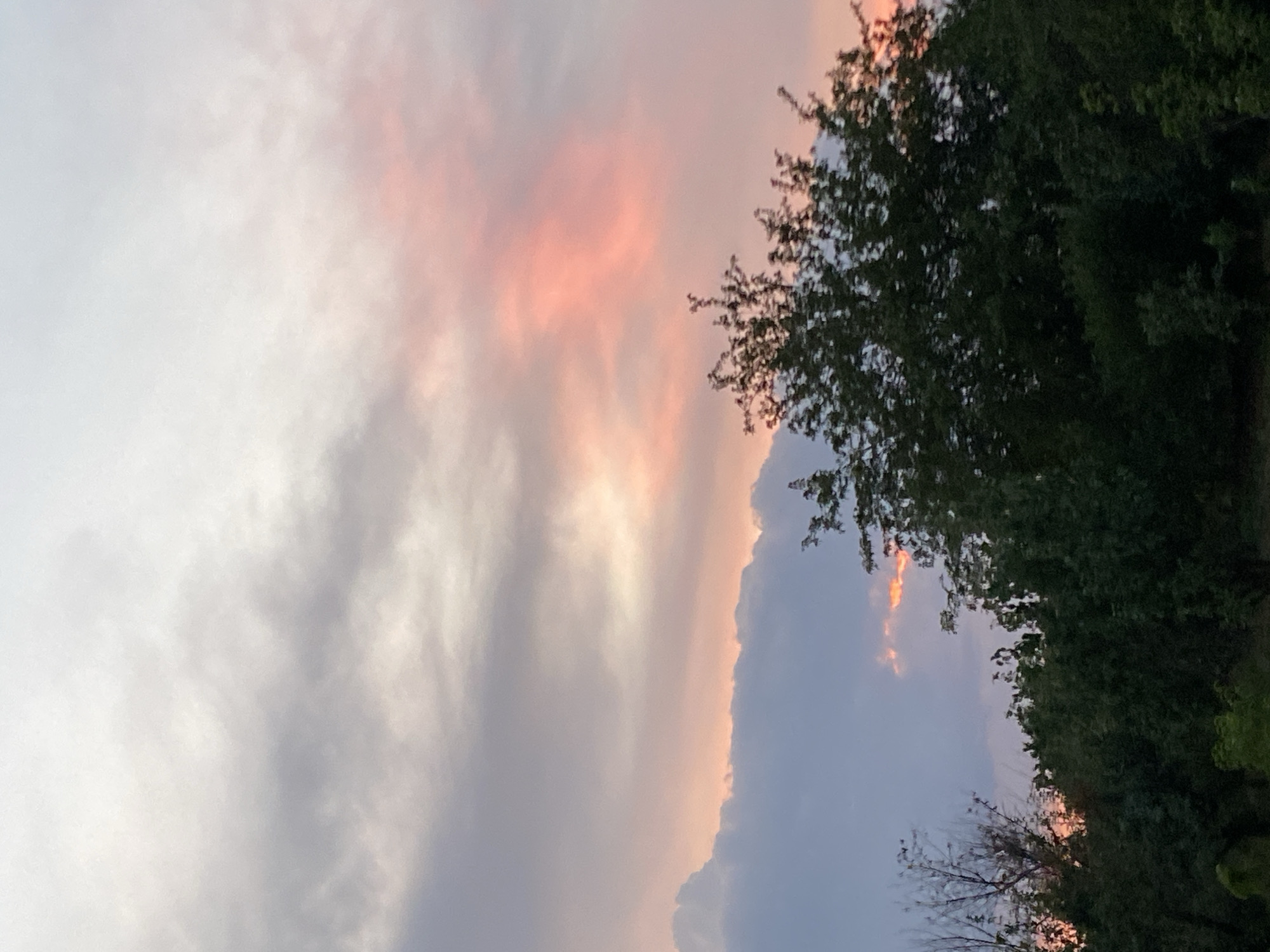 The image depicts a twilight sky over a forested area in Kushchovskaya, Russia. The sky is filled with wispy clouds, tinged with soft pink and orange hues from the setting sun. A band of darker clouds stretches across the lower portion of the sky, with hints of fiery orange peeking through from behind them. Silhouetted against the sky are the dark green canopies of trees, dense and lush. The overall scene is serene and natural, characteristic of a rural or semi-rural landscape at dusk. There are no people or man-made structures visible in the frame.