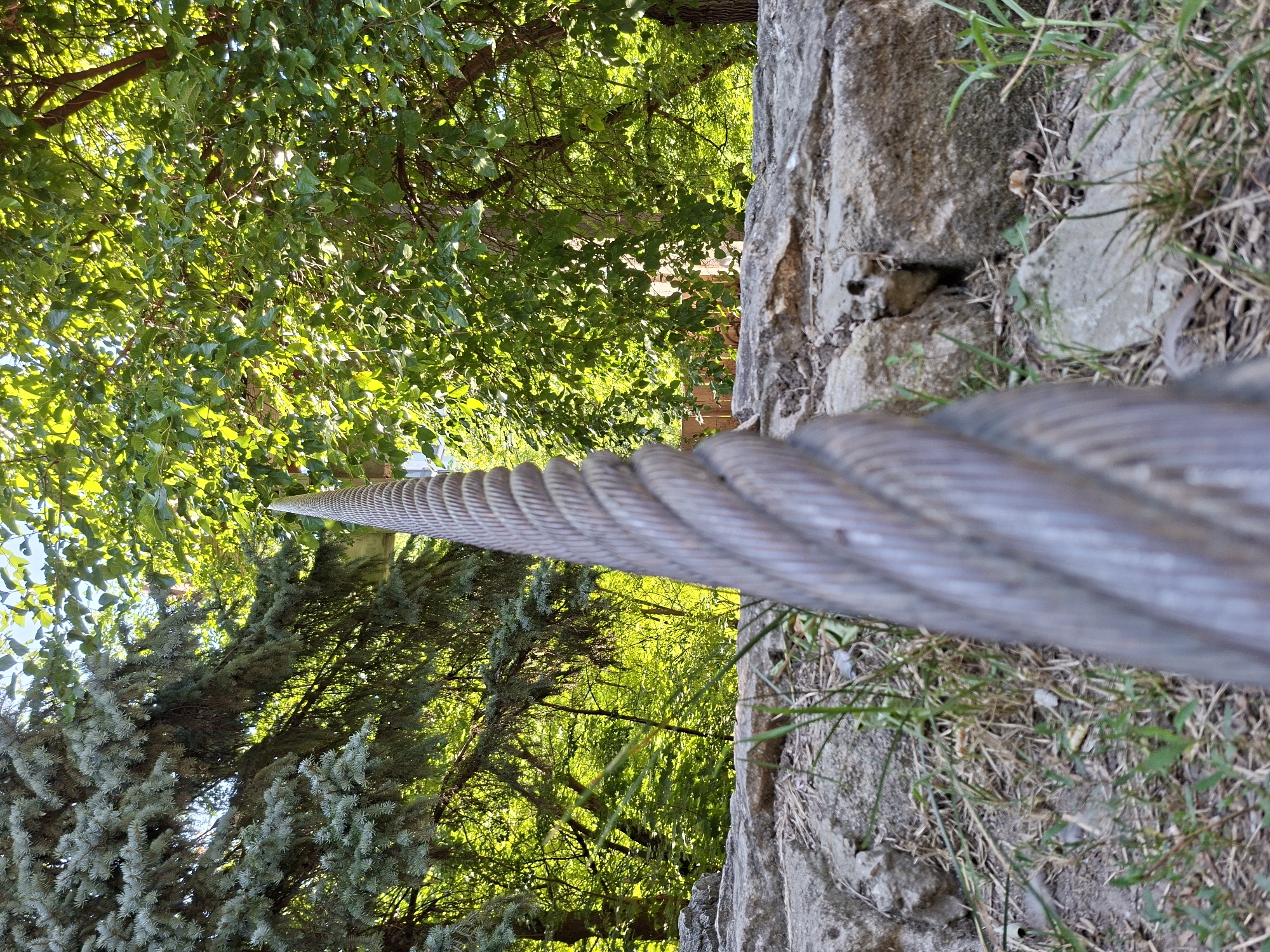 The image shows a close-up, low-angle view of a thick, twisted metal cable in the foreground. The cable is a metallic gray color and appears to be made of many strands wound together. It tapers to a point and extends upwards out of frame. Behind the cable, a rough, textured stone wall is visible, with dry grass and some green shoots growing around and between the rocks. Beyond the wall, lush green foliage from trees fills the background. Sunlight filters through the leaves, creating a dappled effect and highlighting the vibrant green of the vegetation. The scene appears to be outdoors in a park or natural area. There are no people or animals visible in the image. The location is identified as Chișinău, Moldova.