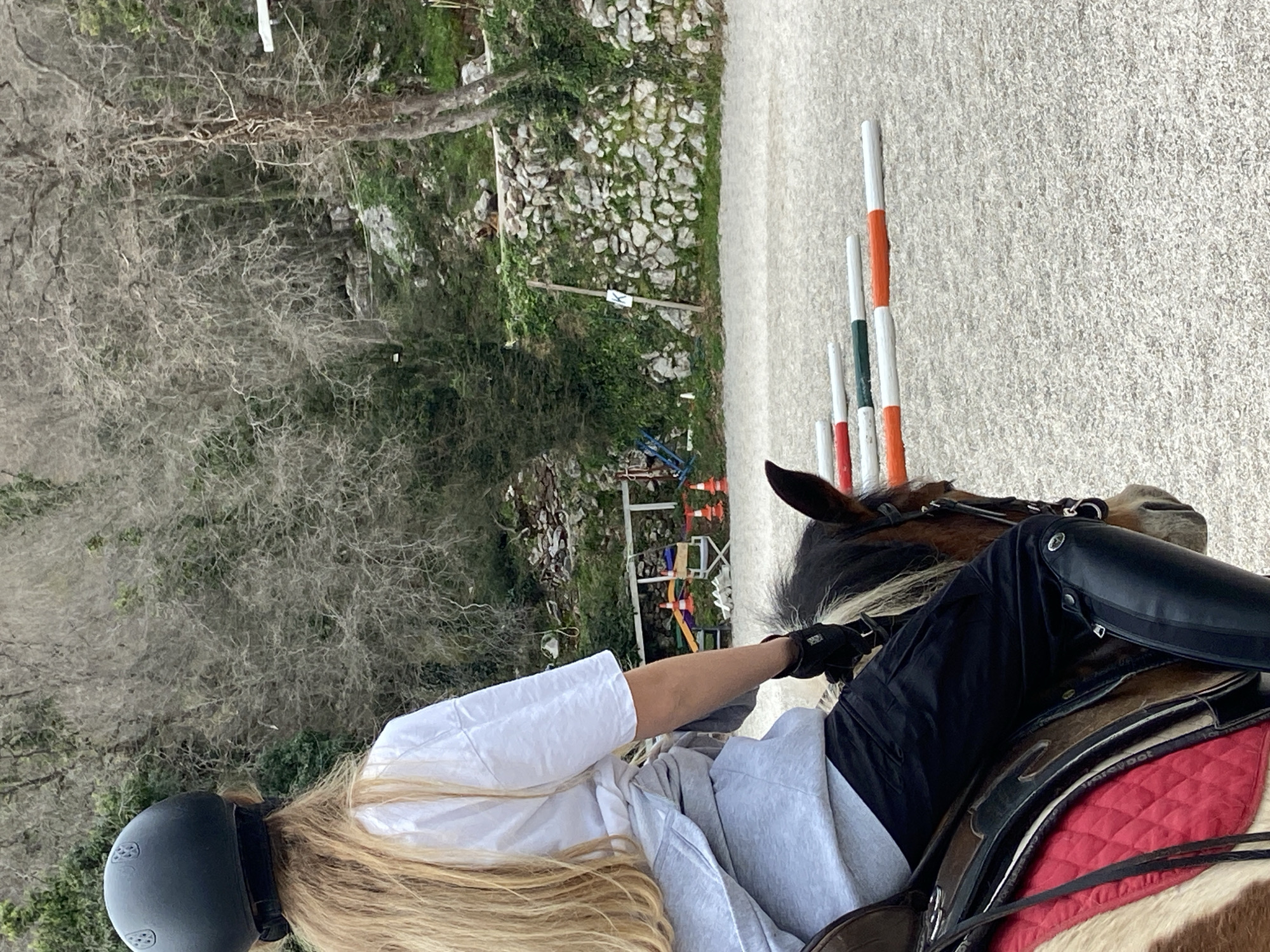 The image shows a person riding a horse in an outdoor equestrian arena. The person is wearing a riding helmet, a white shirt, black riding pants, and gloves. The horse is brown and white, with a black mane. There are white and orange poles set up on the side of the arena. The background includes trees, shrubs, and a stone wall.
The location is Budva, Montenegro.