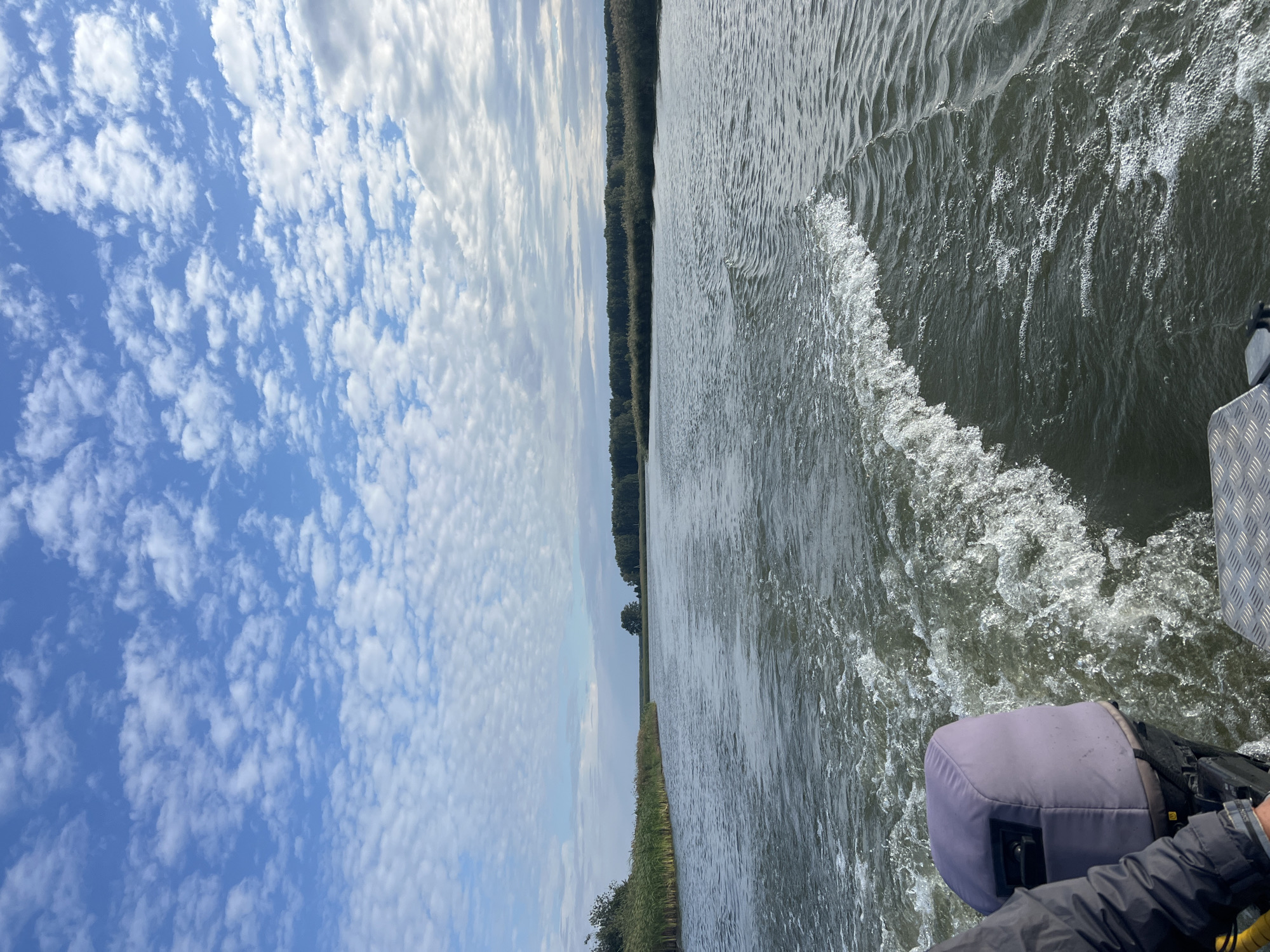 The image captures a view from a moving boat on a body of water, likely a river or lake, with a wake trailing behind. The water is a dark, murky green and shows ripples and foam from the boat's movement. To the left, tall reeds or grasses line the bank, appearing dry and brown. In the distance, a dense line of trees forms the horizon, with a single, isolated tree visible further out on the water. The sky above is a bright blue with scattered white, cumulus clouds. The lower right corner of the image shows a portion of the boat's exterior, including a metal grate and part of an outboard motor with a light purple cover. The scene suggests a journey through a natural, possibly rural, environment. The location is stated to be Novopichugovo, Russia.