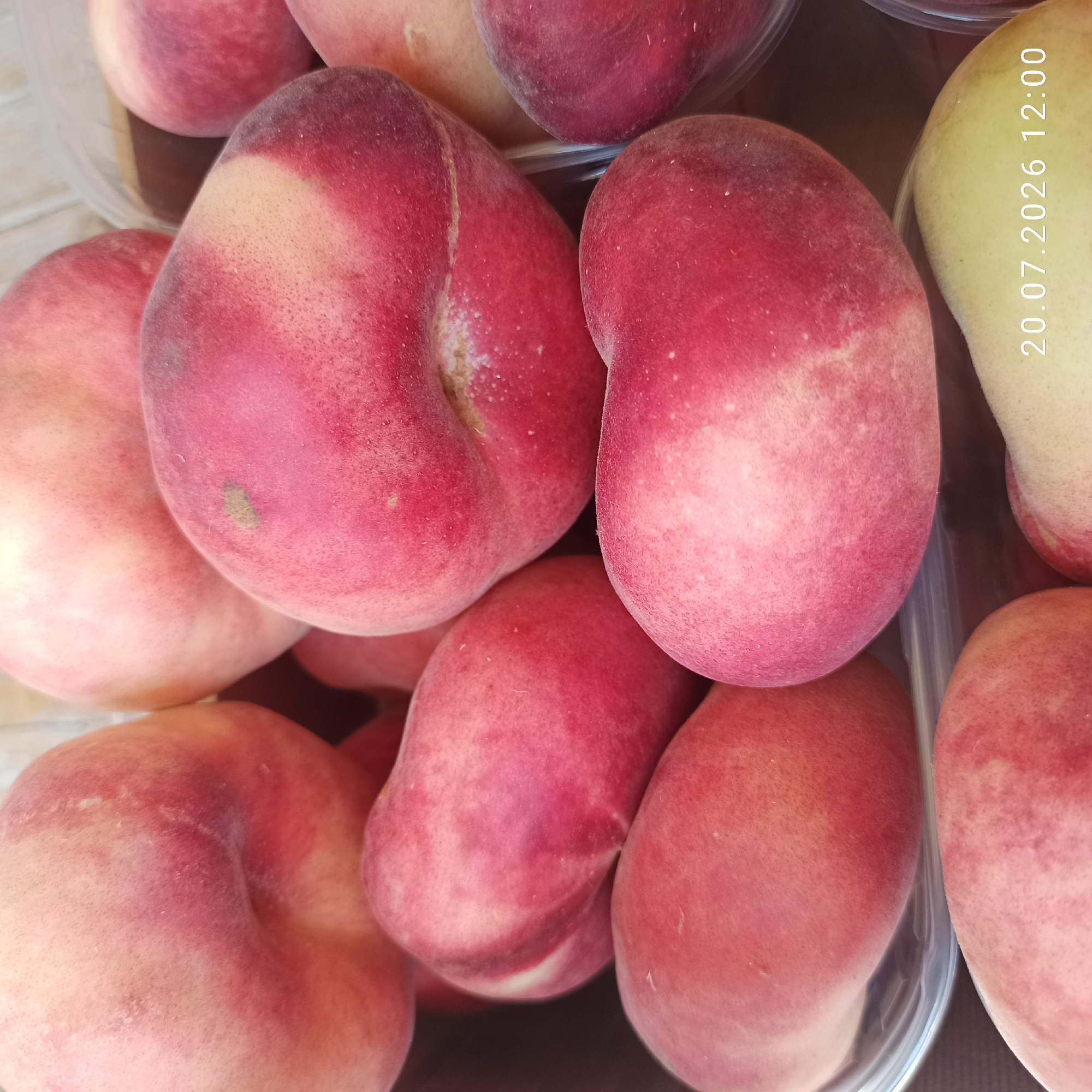 A close-up, overhead shot features a collection of ripe peaches, some with a blush of red and pink. The peaches are arranged in clear plastic containers. In the lower right corner, a timestamp reads "20.07.2026 12:00". The image does not provide any information or visual cues to indicate a specific location within the city of Bitonto, Italy.