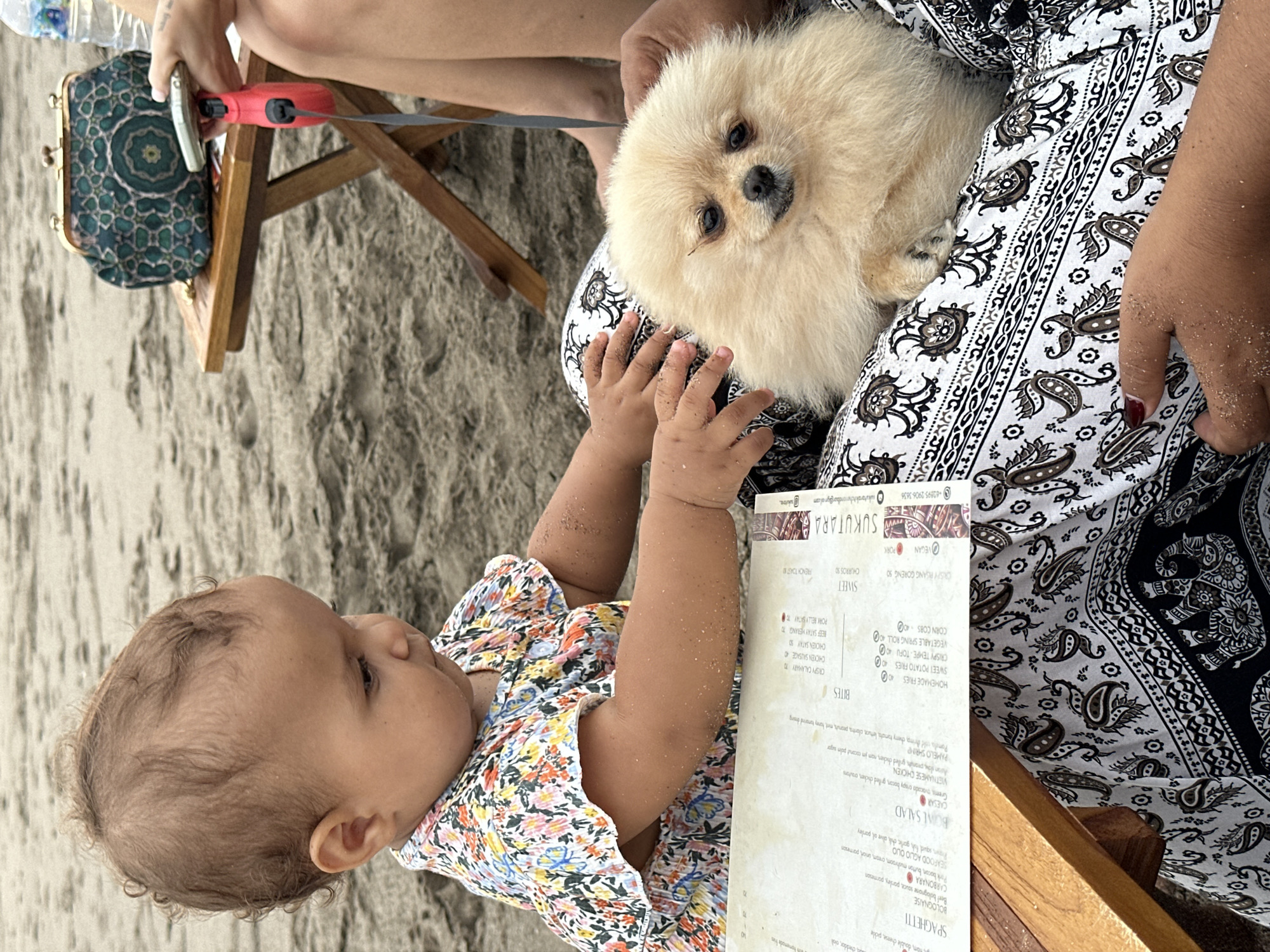 In North Kuta, Indonesia, on a sandy beach, a baby wearing a floral dress sits on a person's lap, looking down at a menu. Beside the baby, a fluffy Pomeranian dog rests on the same lap. The person's legs are visible, wearing patterned pants. A wooden table with a menu sits in front of them. In the background, a small wooden table holds a patterned clutch bag, a phone, and a red leash. The sandy environment suggests an outdoor setting.