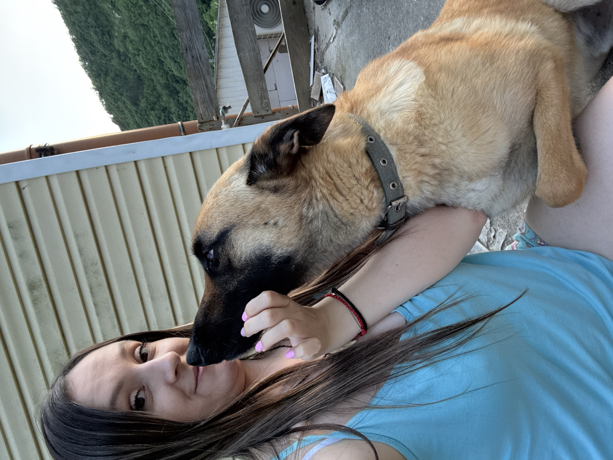 In this medium shot, a young woman and a German Shepherd are in close proximity outdoors. The woman is lying on her back, her head tilted up towards the dog. Her eyes are open and looking at the camera, conveying a sense of affection and connection with her pet. The dog is leaning down, its head resting near the woman's face, with its nose touching her cheek. The dog wears a grey collar with metal eyelets.
The background suggests a casual outdoor setting. Behind the woman, there's a pale yellow corrugated wall. Above this, a brown pipe runs horizontally, and beyond that, a dark green, dense row of trees or bushes is visible against a bright, overcast sky. To the right of the dog, wooden structures and a concrete surface are apparent, hinting at a yard or patio area. The lighting indicates it is daytime, likely late afternoon or early evening given the soft light.
The woman has long, dark brown hair that is spread around her. Her fingernails are painted a light pink. She is wearing a light blue t-shirt, and a colorful patterned fabric is visible on her lower body, suggesting she might be lying on a towel or blanket. She is also wearing a black and red bracelet on her left wrist.
The interaction between the woman and the dog appears affectionate and intimate. The woman’s gaze and the dog’s gentle posture suggest a strong bond. There is no visible text in the image. The overall mood is peaceful and loving.