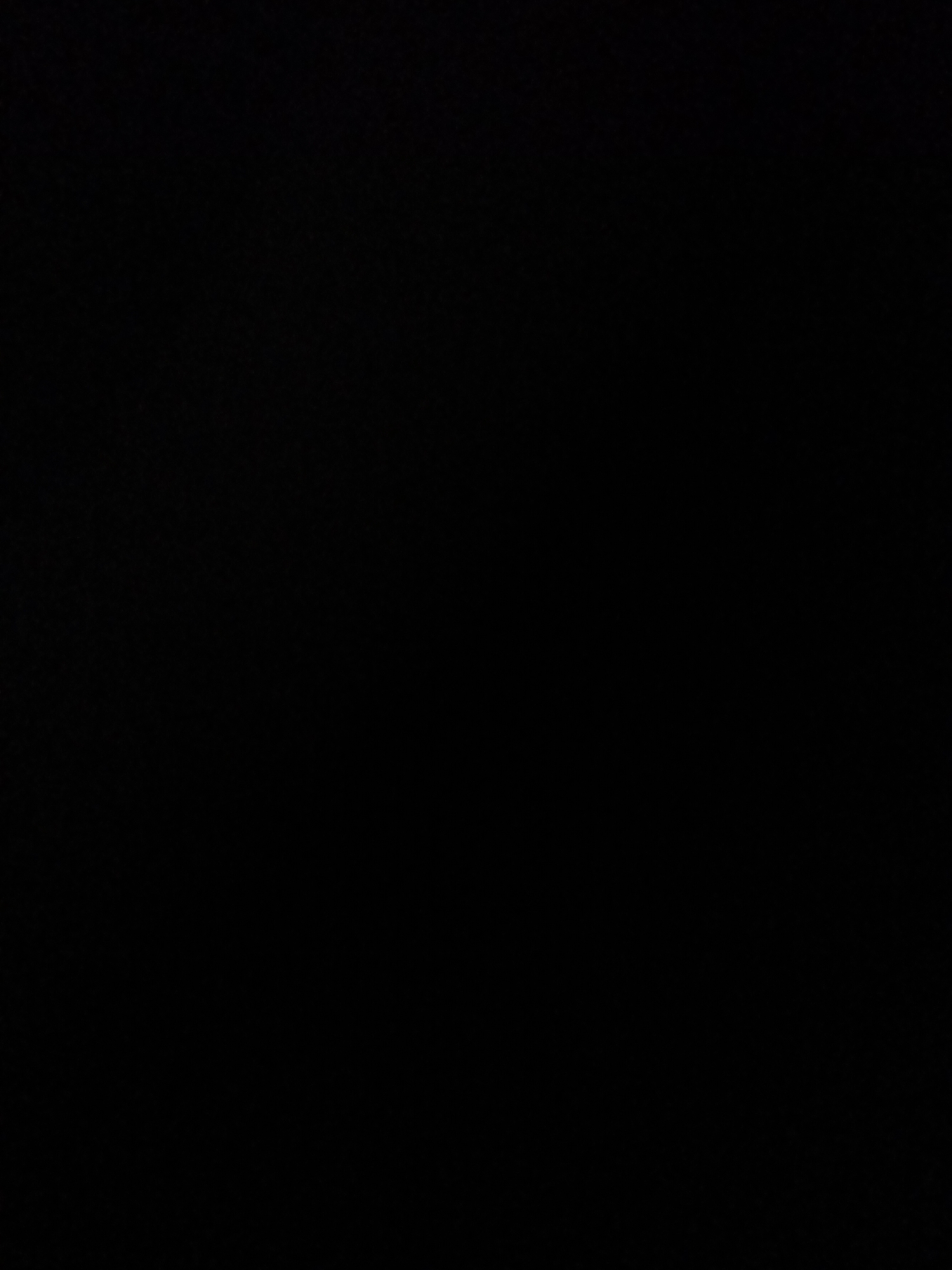 The image is a solid black rectangle, offering no visual information about subjects, activities, notable details, or text. It is not possible to determine the scene, setting, time of day, weather, location cues, or emotions from this image. Therefore, no description can be provided.