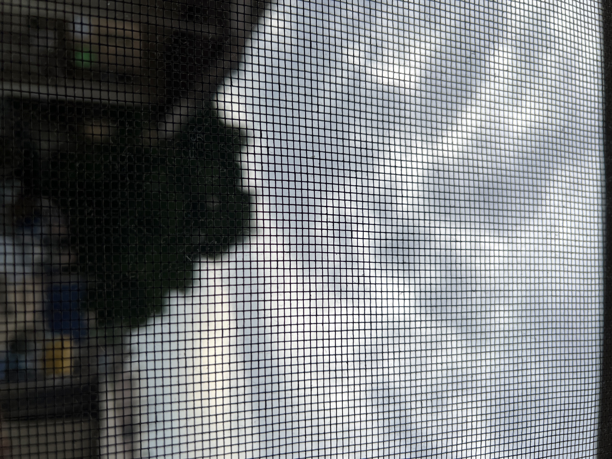 The image shows a view through a window screen in Lagos, Nigeria. The sky is overcast and appears to be evening or early morning. In the foreground, the screen is clearly visible, creating a grid pattern over the scene. Behind the screen, a silhouetted dark green tree is prominently featured in the center of the frame. To the left of the tree, a building with a textured facade, possibly brick or stone, is partially visible, its details obscured by the screen and the dim light. Further to the right, other structures and what appear to be brightly colored objects, possibly vehicles or tarpaulins, are dimly visible. The overall impression is of a residential or urban environment seen from a window, with the screen acting as a barrier between the viewer and the outside.