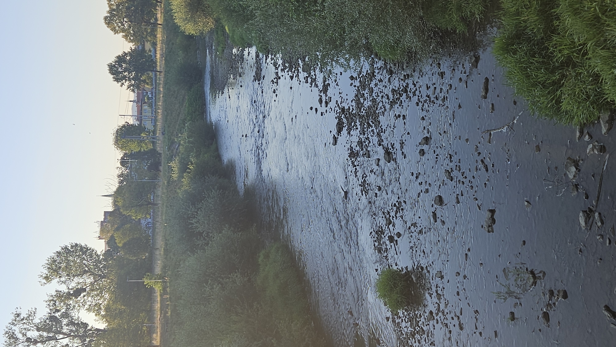 The image shows a shallow, rocky river flowing through a semi-urban area with a clear sky and sunlight. The riverbanks are lined with dense green bushes and trees. In the background, several buildings are visible, including what appears to be a church steeple and other structures typical of a city. The overall scene suggests a peaceful, natural setting within or on the outskirts of a populated area. This view is consistent with the Torysa river as it passes through Prešov, Slovakia, specifically in an area where the river is shallow and its bed is exposed with numerous rocks.