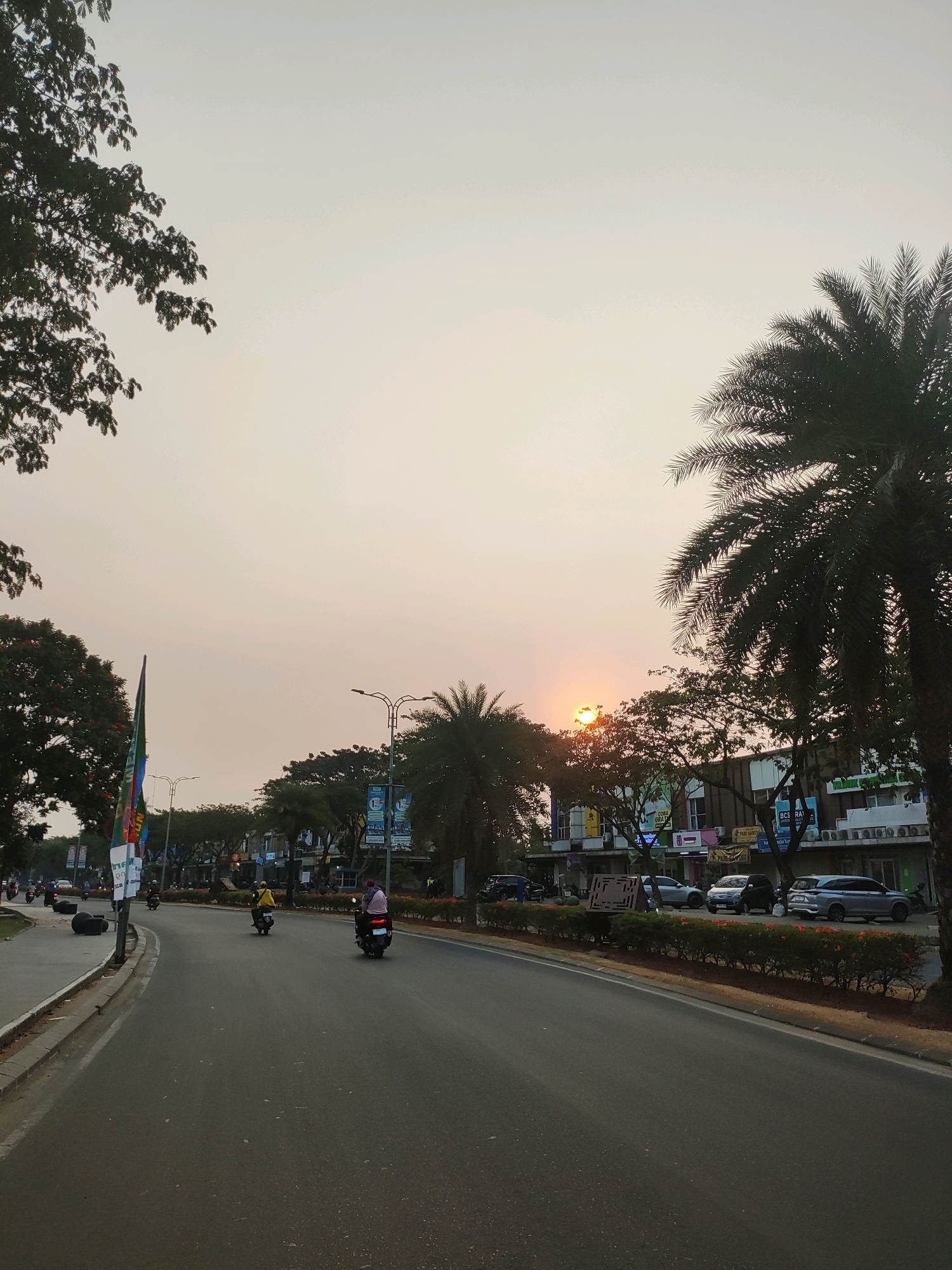 The image captures a street scene in Telagaasih, Indonesia, during sunset. The sun is visible in the distance, partially obscured by trees, casting a warm glow on the hazy sky. A two-lane asphalt road occupies the foreground, with a sidewalk on the left. Several vehicles, including motorcycles and cars, are present on the road. One motorcycle, ridden by a person wearing a yellow shirt, is moving away from the camera, while another, with a rider in a pink shirt, is also heading in the same direction. Cars are parked and moving along the right side of the road, in front of buildings that appear to be shops or businesses. Trees line the street, with a prominent palm tree on the right. Flags are displayed on poles along the left side of the road. The overall environment suggests a typical urban street with moderate traffic and pedestrian activity during the evening.