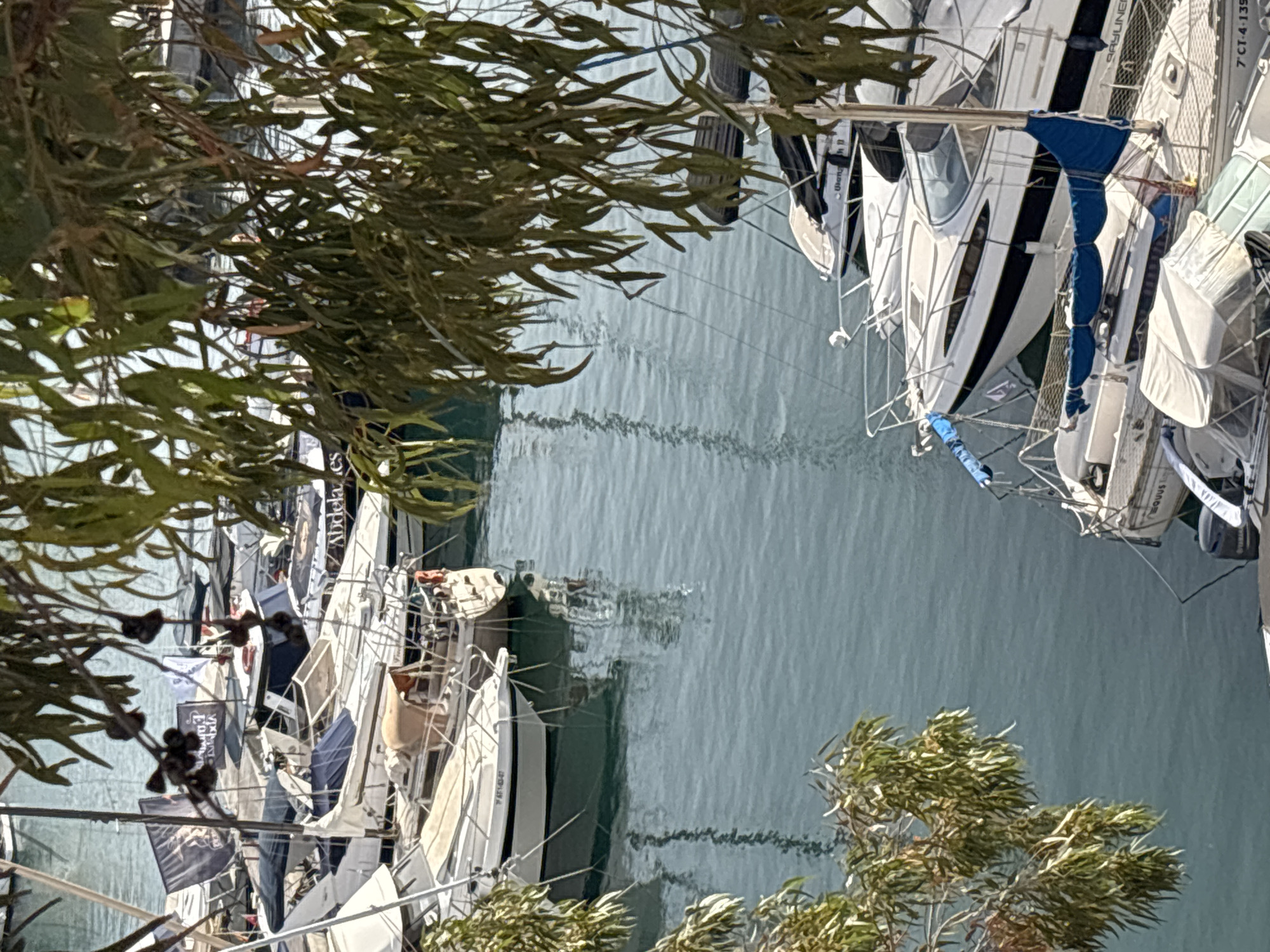The image shows a harbor filled with various boats, as seen from above and partially obscured by foliage. The boats are predominantly white with some dark accents, and many are covered with tarps. Several boats have visible names or numbers, such as "Abadela es", "7F143347", and "BAYLINER". In the background, there are more boats and a body of water that appears calm. The sky is not visible, but the lighting suggests it is daytime. The location is identified as Urbanización Cabo Roig, Spain, indicating a coastal area known for its marina. There are no people visible in the frame, and the scene is static, depicting moored vessels.