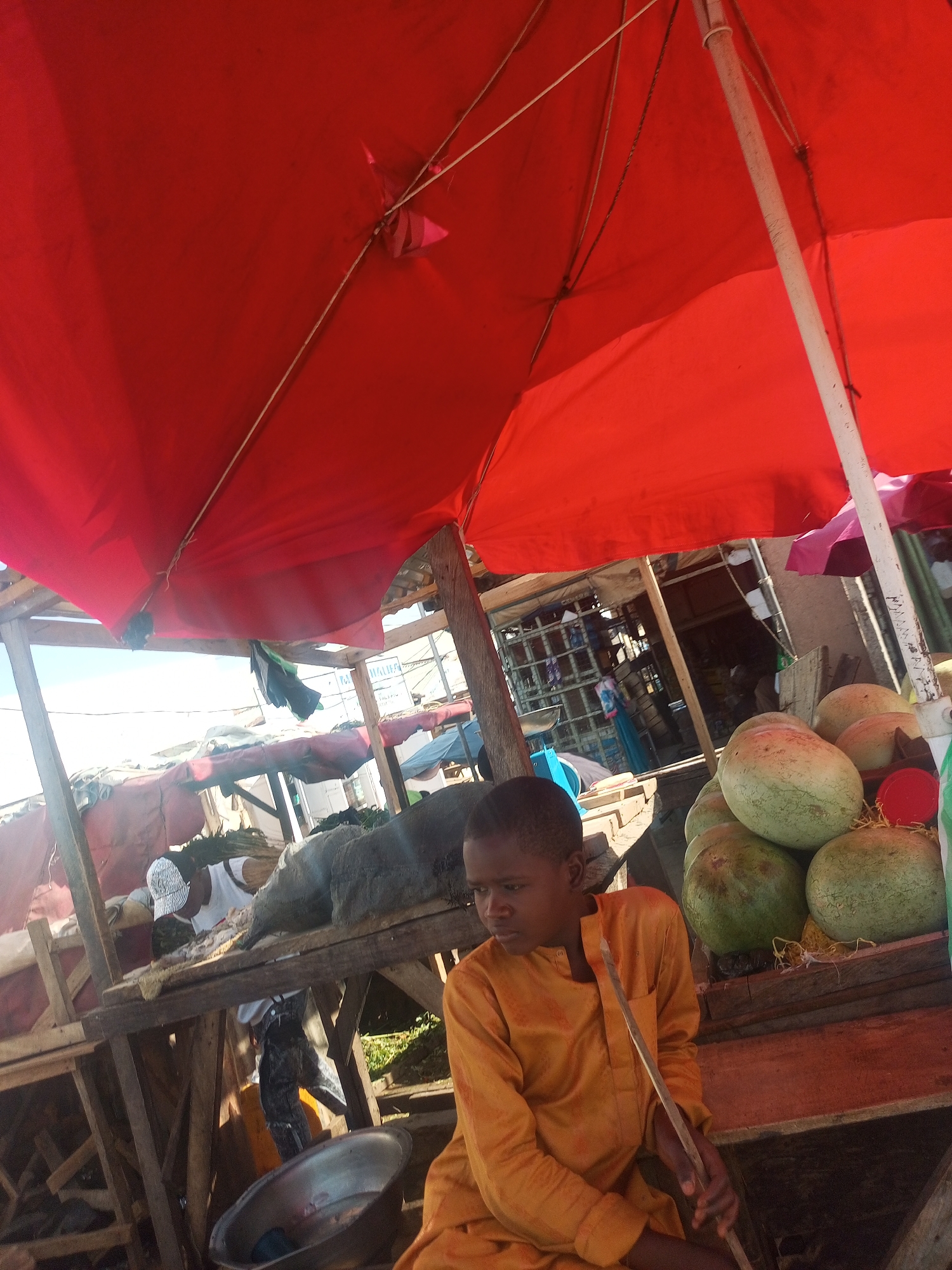 The image captures a vibrant market scene in Gombe, Nigeria, characterized by bright sunlight and protective red umbrellas. In the foreground, a young boy is prominently featured, seated and looking towards the left side of the frame with a neutral expression. He wears an orange, long-sleeved garment and holds a thin stick in his hands.
To the boy's right, a stack of large watermelons is displayed on a rustic wooden stall. The stall itself is constructed from rough planks and posts, providing a simple counter for goods. Above the boy and the market items, two large red umbrellas dominate the upper portion of the image, providing shade and creating a strong color focal point. Their internal structures, including ribs and a central pole, are visible.
In the midground, behind the boy and the stalls, other market activities are faintly visible. Another individual, partially obscured, can be seen wearing a white cap and white attire, seemingly attending to a stall. More wooden structures and parts of other market setups are visible in the background, suggesting a bustling open-air market environment. The strong overhead sunlight indicates it is daytime, likely midday or early afternoon. A metallic bowl rests on a lower part of a stall near the boy. Some unclear text, possibly "GALIUM," is barely discernible on a sign in the distant background.