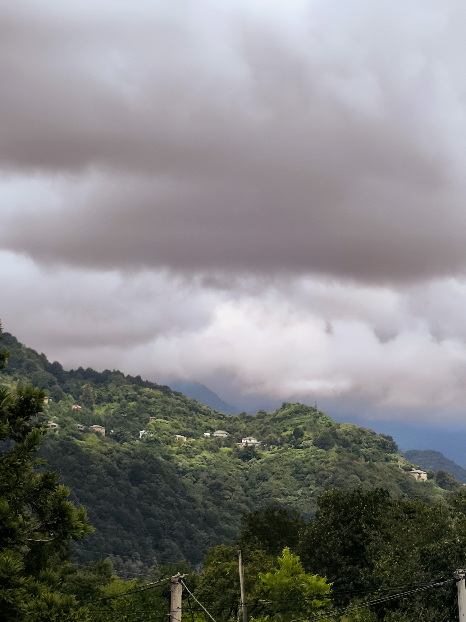 The image captures a view of rolling green hills dotted with houses, set against a dramatic sky filled with dark, heavy clouds. The foreground shows the tops of dark green trees, with hints of lighter green foliage in the lower middle ground. A utility pole with wires is visible on the right side of the foreground. The middle ground is dominated by a densely forested hillside, with several small buildings scattered across its slopes. The houses appear to have light-colored roofs and walls. The background consists of more distant hills and a cloudy sky, with a significant band of dark gray clouds obscuring the upper portion of the image. The overall impression is one of a rural or semi-rural landscape under overcast skies, possibly in the outskirts of Batumi, Georgia, given the topography and vegetation.