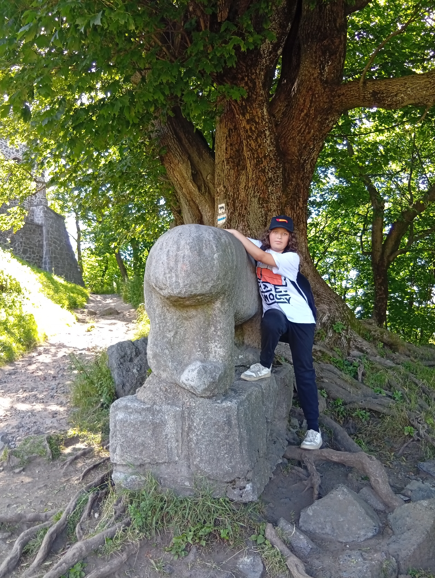 A young person with long, curly brown hair, wearing a white t-shirt with orange and black graphics, dark pants, a black baseball cap, and white sneakers, leans against a large, smooth, grey stone sculpture resembling an animal's head with a short neck. The sculpture is on a base of stacked grey stones. The scene is outdoors, at the base of a massive tree with thick, textured bark and a canopy of lush green leaves. The ground is a mix of dirt, rocks, and exposed tree roots. To the left of the sculpture and person, a gravel path winds uphill, bordered by green grass. In the background, a stone structure, possibly a wall or building, is visible on the left, partially obscured by foliage. The image appears to be taken during the daytime, with sunlight filtering through the trees. The location is identified as Sobótka, Poland.