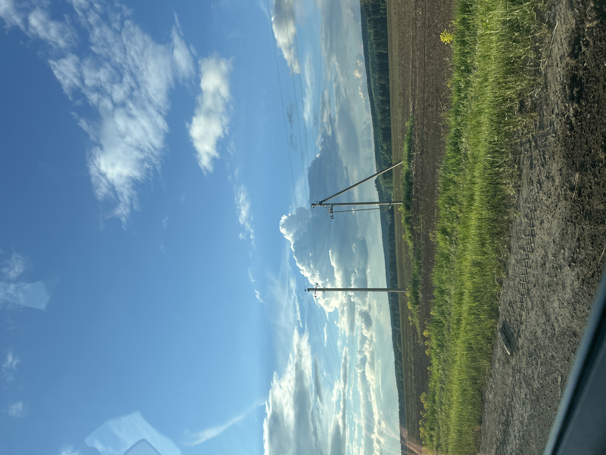 This media file captures a serene rural landscape, characteristic of agricultural regions such as Kuyeda, Russia. The scene is presented vertically, but depicts a horizontally expansive view.
**Subjects:** The primary subjects include a vast blue sky, numerous white clouds, a series of wooden power poles with multiple overhead lines, two distinct agricultural fields, and a distant treeline. A partial view of what appears to be a car interior, including reflections, is visible in the lower right corner.
**Scene & Setting:** The setting is an open countryside. The upper left half of the image features a bright blue sky, populated by a variety of white clouds, from thick cumulus to wispy cirrus. Below the horizon, the landscape unfolds with a dark, possibly freshly ploughed, field on the right. Adjacent to it is a vibrant strip of green grass or low crops, which horizontally traverses the middle ground and contains scattered small yellow wildflowers. Several power poles stretch into the distance, connecting the sky to the earth. A dense, dark green forest forms a clear horizon line in the far background.
**Activity or event taking place:** There is no specific human activity or event depicted. The image portrays a tranquil, observed moment of the natural and cultivated environment, likely from a moving vehicle.
**Notable details:** The time of day is clearly daytime, with bright sunlight illuminating the clouds and landscape, suggesting late morning or early afternoon. The weather is fair, with a beautiful display of various cloud types. The presence of agricultural fields and power lines indicates a developed but still rural area. The visual cues align with the provided location context of Kuyeda, Russia. The reflections in the bottom right corner suggest the photograph was taken from inside a car or similar vehicle.
**Visible text:** There is no visible text in the image.