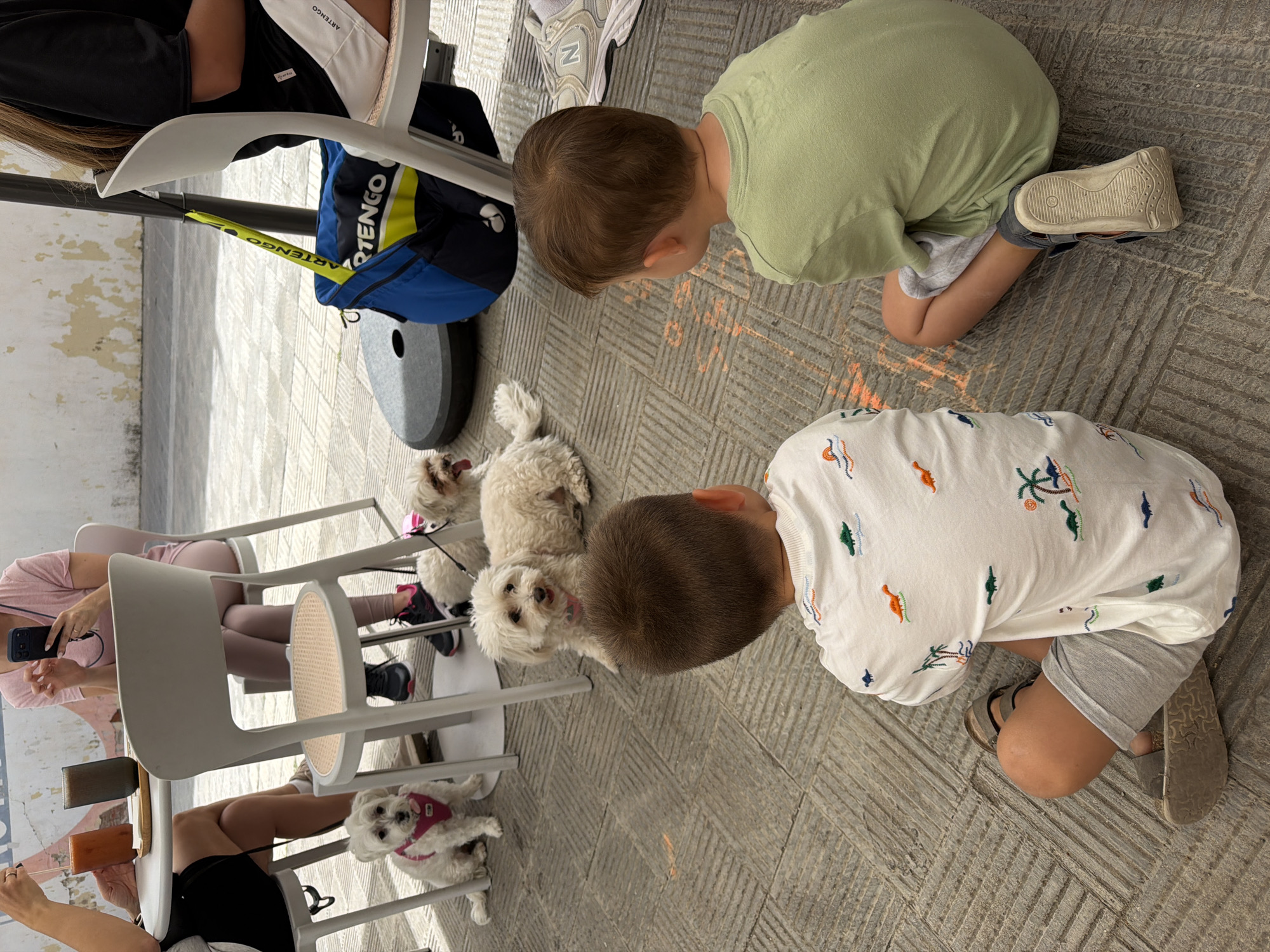 The image depicts an outdoor scene at a cafe. Two young boys are sitting on the ground, facing away from the camera, looking at two white dogs. The boy on the left wears a white t-shirt with a dinosaur pattern and grey shorts. The boy on the right wears a green t-shirt and grey shorts. The two dogs, one wearing a pink harness, are sitting on the patio. In the background, two women are seated at a table. The woman on the left holds a drink. The woman on the right is looking at her phone. There are chairs and a table. A blue and yellow sports bag is visible near a chair. The ground is paved with stone tiles.