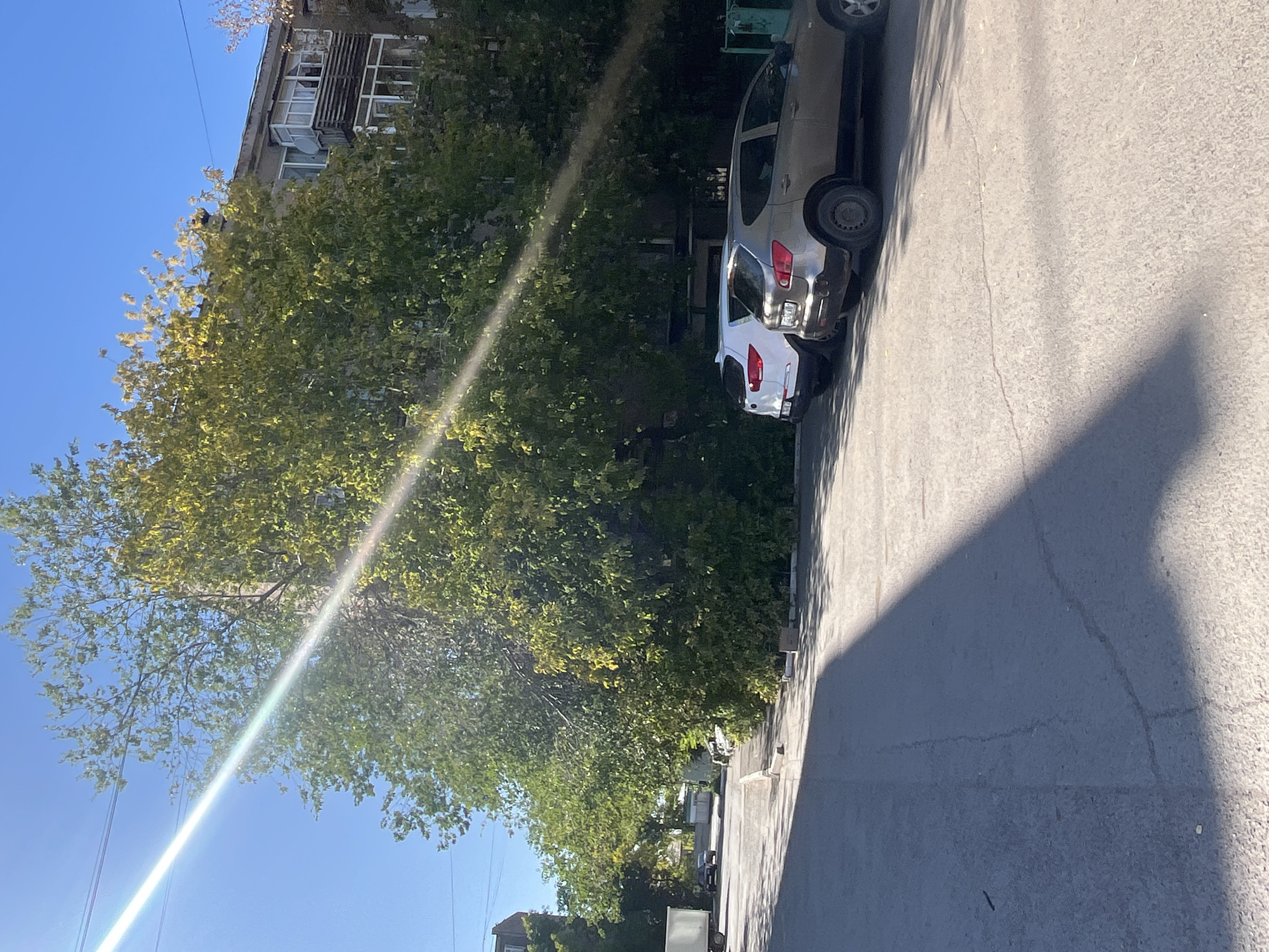 This is an outdoor, eye-level shot of a residential street in Astana, Kazakhstan, on a sunny day. The foreground shows an asphalt road with a distinct shadow cast across it from the left. In the mid-ground, two parked cars, a white SUV and a silver hatchback, are visible. Behind them, a large, leafy green tree dominates the scene, its branches partially obscuring a grey, multi-story apartment building with balconies. The sky is a clear blue, with a bright sunbeam cutting across the upper left portion of the image. The overall impression is a typical urban scene in the late summer or early autumn, with the sunlight creating a lens flare effect.