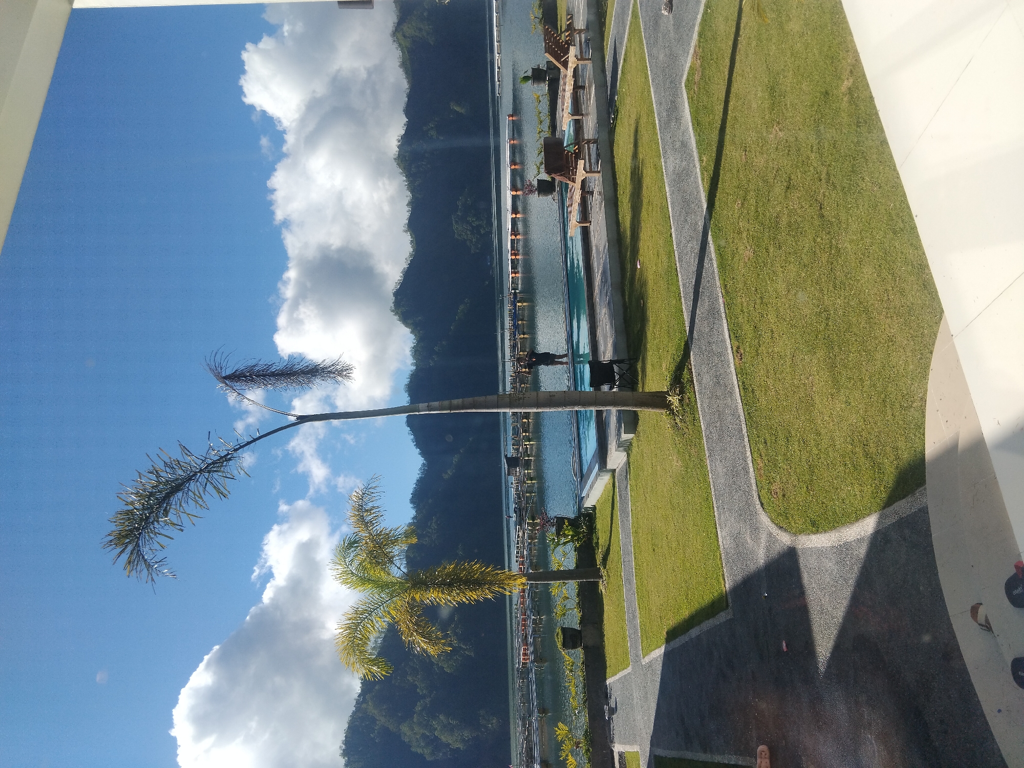 The image presents a landscape scene featuring a body of water bordered by lush greenery and a palm tree. The water is flanked by a pool area with lounging furniture, suggesting a recreational or resort setting. Beyond the water, a mountain range is visible under a blue sky dotted with white clouds. A tall palm tree with distinct fronds extends from the right side of the frame towards the sky and mountain backdrop. A walking path is also visible. The overall impression is that of a tranquil and scenic location, potentially in the city of Unknown, Unknown.