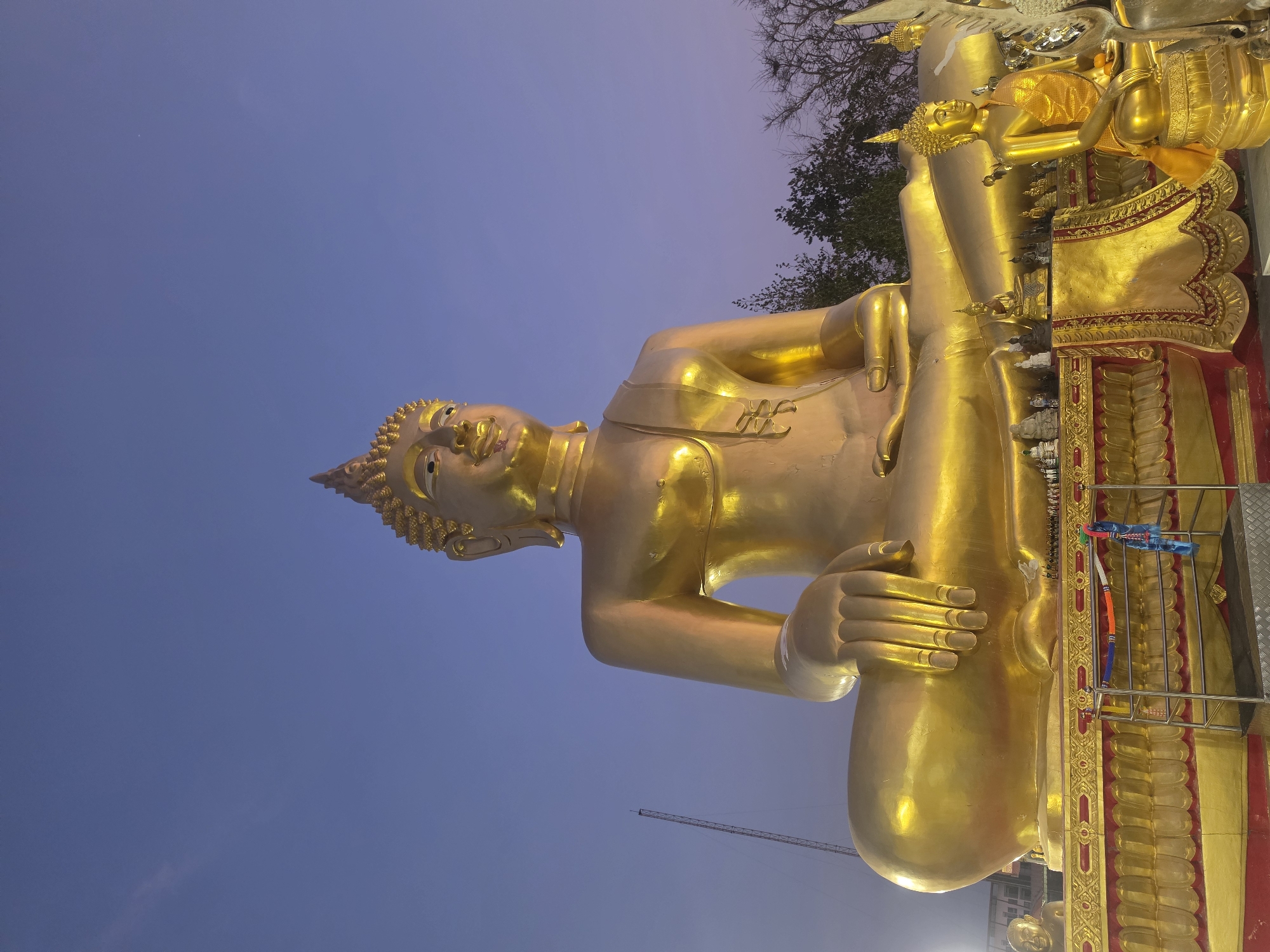A large, golden Buddha statue dominates the scene, photographed from a low angle and rotated 90 degrees counter-clockwise. The Buddha appears to be in a seated or semi-reclined pose, facing towards the viewer with a serene expression and downcast eyes. Its body, rendered in brilliant gold, extends towards the top of the image. The head is adorned with spiky curls, and one hand rests gently on its knee or lap.
To the right of the main statue, a section of its ornate, gold and red decorated base is visible. On this base stand several smaller golden Buddha statues in various poses, including one seated and another appearing to hold an offering bowl. A metal railing, embellished with colorful fabric ribbons in blue, orange, and white, runs alongside the main statue.
The background features a clear, deep blue to purple sky, suggesting twilight (either dusk or dawn). Silhouettes of bare tree branches are visible against the sky in the upper right quadrant of the image. In the far distance, a faint outline of a construction crane can be seen. The statue is well-lit, making its golden surface glow against the dark sky. The overall setting is a grand religious site, characteristic of temples in Pattaya City, Thailand. No discernible text is present in the image.