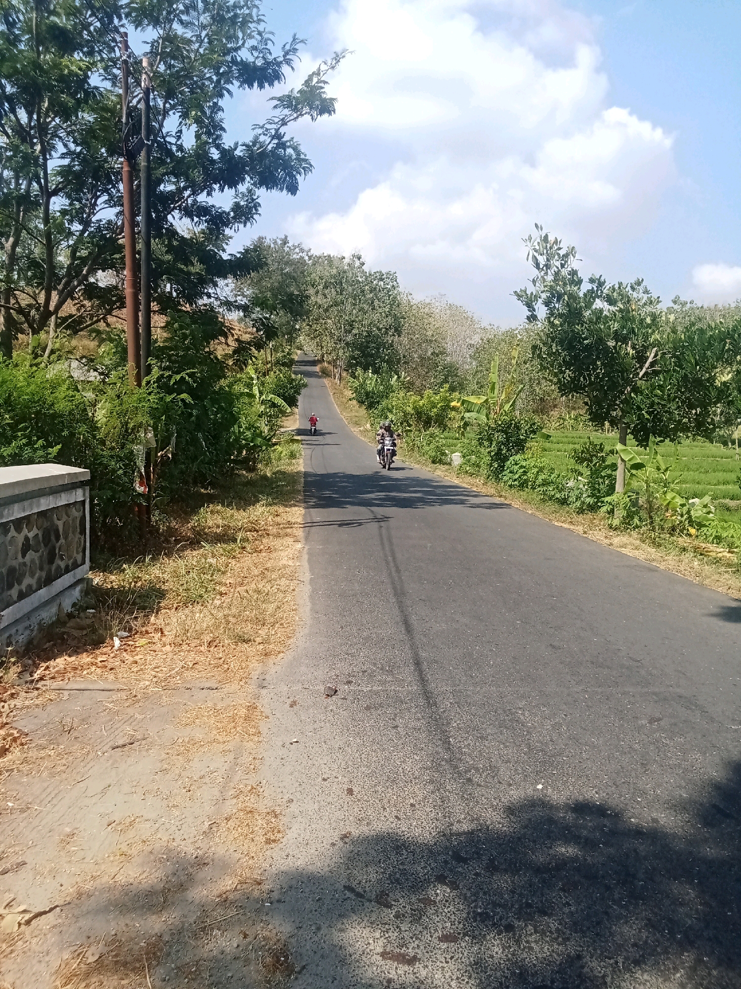 The image depicts a rural scene in Balegondo, Indonesia, featuring a paved road winding uphill through lush green vegetation. On the left side of the road, a grey stone wall borders a dry, dusty embankment with sparse, yellowed grass. Tall trees with dense green foliage line the embankment. A utility pole, with multiple wires attached, stands prominently near the embankment. On the right side of the road, terraced rice paddies are visible, separated by green foliage and trees.
Two individuals on a single motorcycle are traveling uphill on the road. Further up the road, a person in a red shirt is on a motorcycle, also moving uphill. The sky above is a clear blue with scattered white clouds. The overall impression is a bright, sunny day in a tropical, agrarian setting.