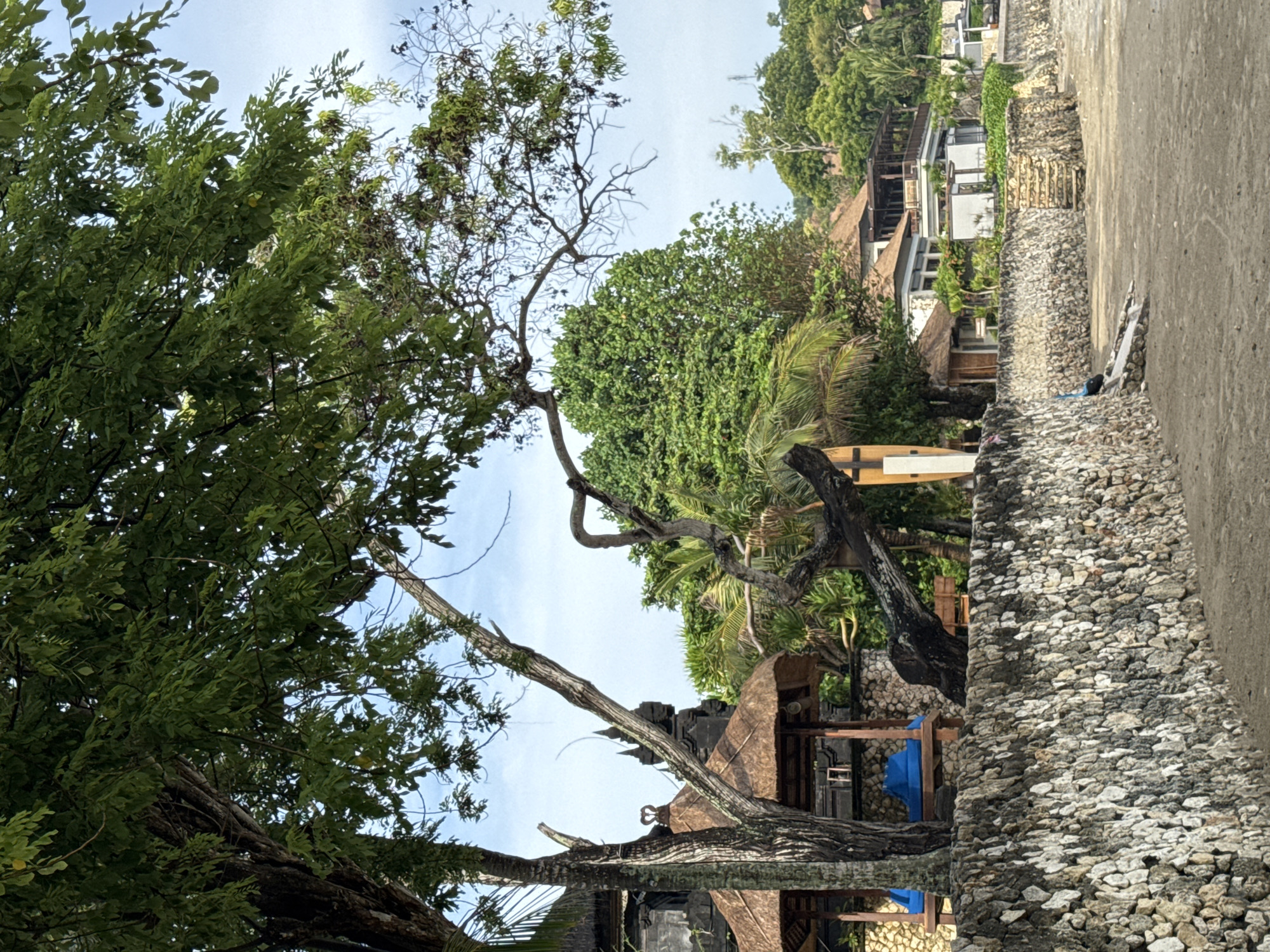 The scene is a view looking up through trees and foliage towards a coastal area in Kuta Selatan, Indonesia. Buildings with thatched roofs and modern structures are visible behind the vegetation. The sky is partly cloudy. A stone wall runs along the right side of the frame, and a concrete walkway is visible to the right of the wall. There are no people visible in the image.