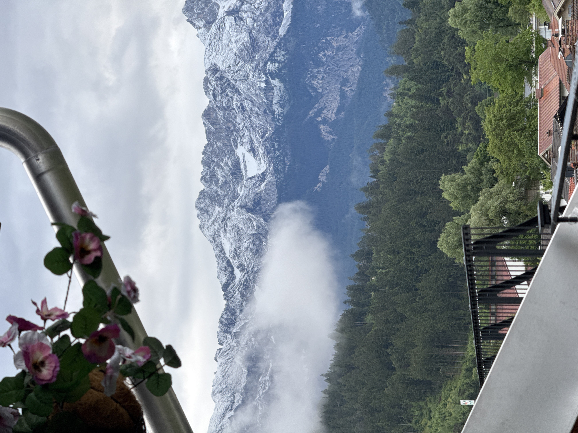 The image depicts a scenic view of the Bavarian Alps, likely from a vantage point in or near Garmisch-Partenkirchen, Germany. In the foreground, a metallic gutter with artificial pink and white flowers hangs from the upper left corner, partially obscuring the view. Below this, a railing of black metal bars separates the viewpoint from a residential area with red-tiled roofs.
Dominating the mid-ground is a dense, dark green coniferous forest that blankets a sloping hillside. The forest extends upwards to meet the majestic mountain range. The mountains themselves are rugged and snow-capped, their peaks jagged and imposing against a cloudy sky. A thick, white cloud bank hangs in the middle distance, partially obscuring the lower slopes of the mountains and creating a dramatic effect. The sky is overcast with varying shades of grey, suggesting a cool or potentially rainy day.
The scene is tranquil and natural, showcasing the distinct alpine landscape. There are no people visible in the image. The overall impression is one of natural beauty and the impressive scale of the mountain environment.