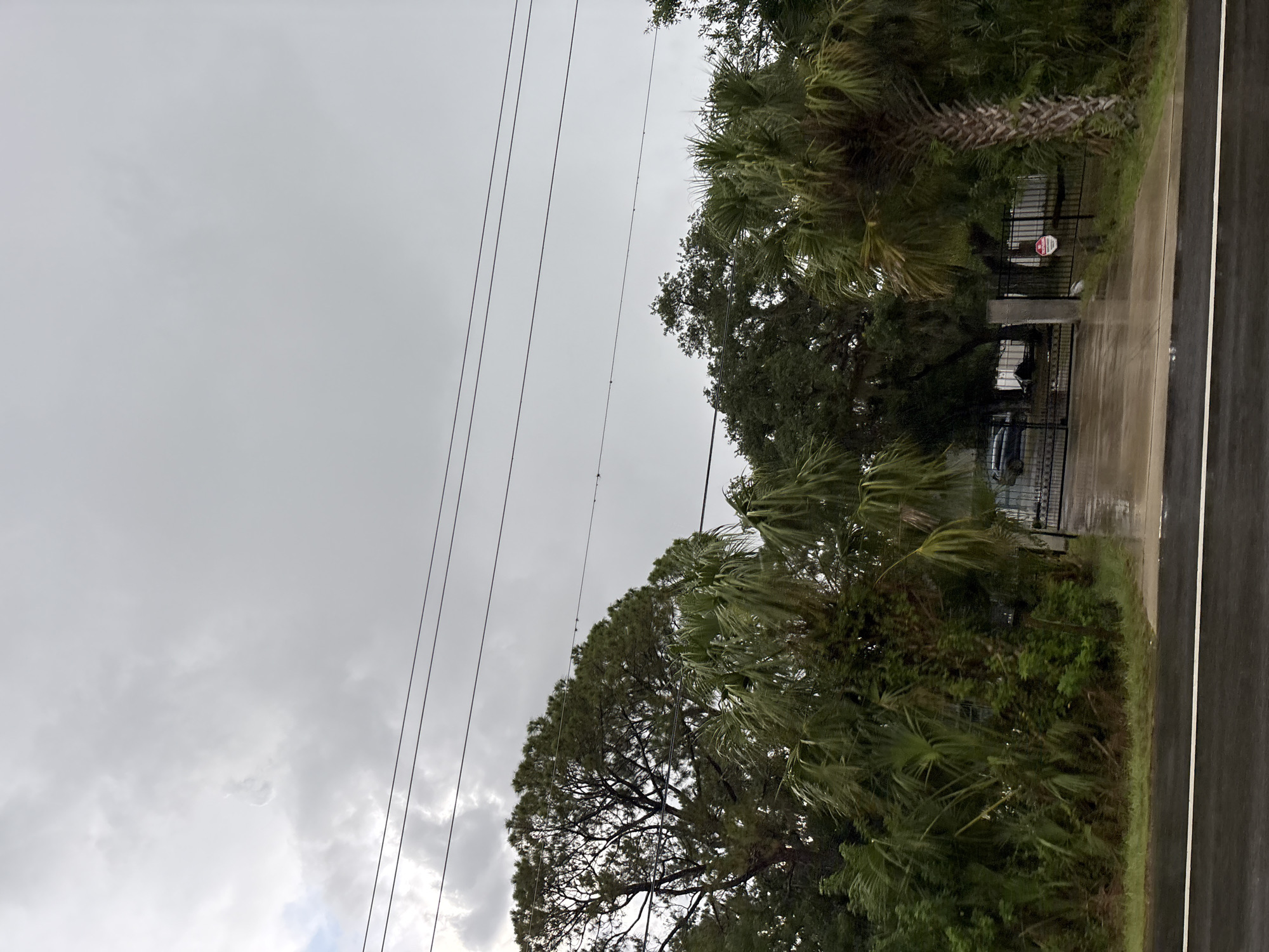 The image captures a street view of an overcast sky over a residential area. In the foreground, a wet asphalt road with a white line marking runs horizontally. Beyond the road, a lush green landscape with various trees, including palm trees, is visible. A gated entrance to a property is present, with a dark-colored vehicle partially visible inside. The ground in front of the gate appears wet, suggesting recent rain. Power lines are strung across the sky. The scene is devoid of any people. The environment suggests a suburban or tropical setting in Bradenton, United States, given the presence of palm trees and the general landscape.
