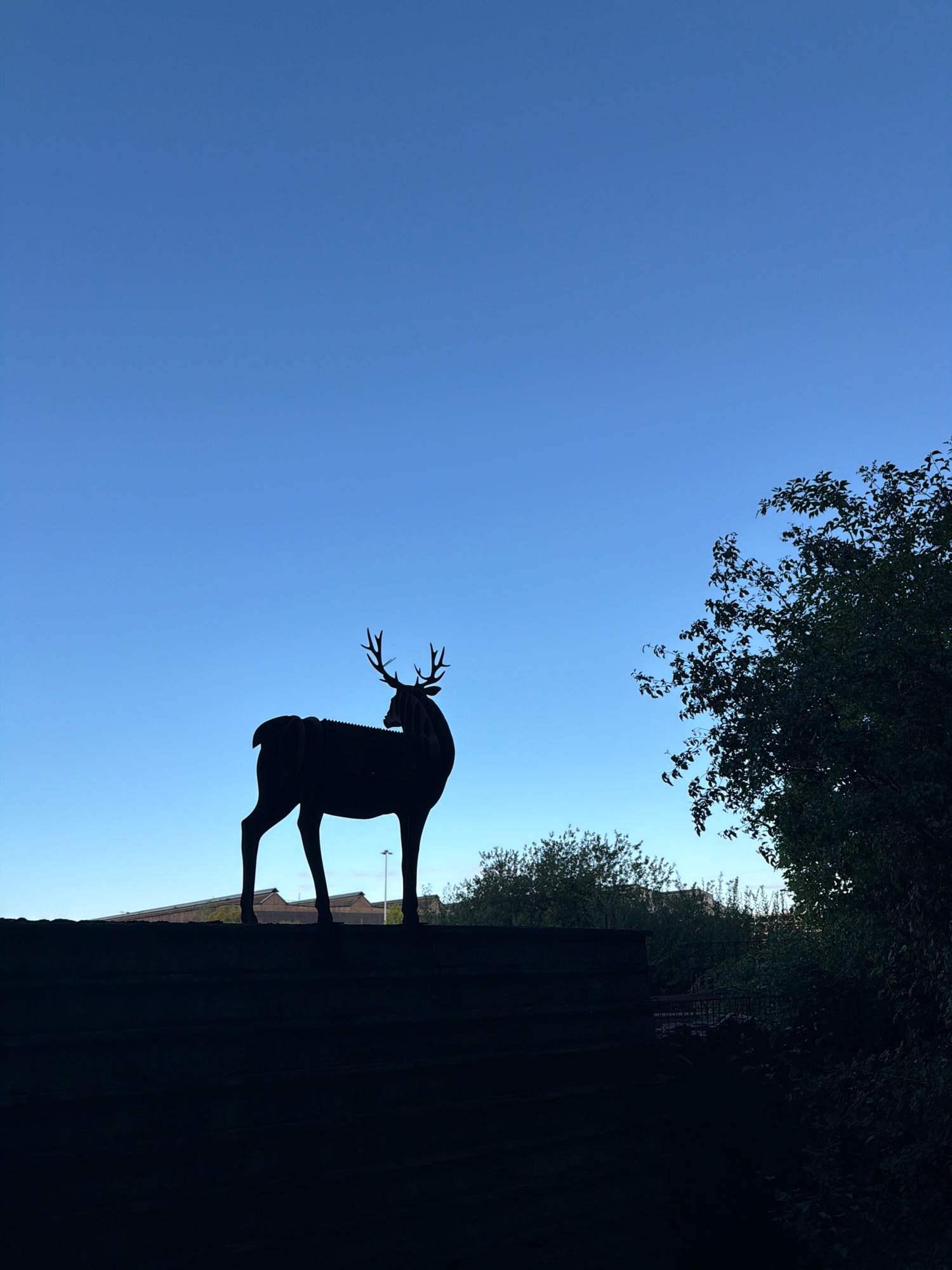 A silhouette of a deer statue stands on a dark, flat surface, likely a rooftop or elevated platform, against a clear blue sky. The deer statue is dark and appears to be made of metal, with antlers clearly visible. In the background, the outline of buildings and a lamppost can be seen. To the right of the deer, a large, dark silhouette of a tree with dense foliage occupies a portion of the frame. The overall impression is that of an outdoor setting, possibly at dusk or dawn, given the stark contrast and clear sky. The location is identified as Schifflange, Luxembourg.