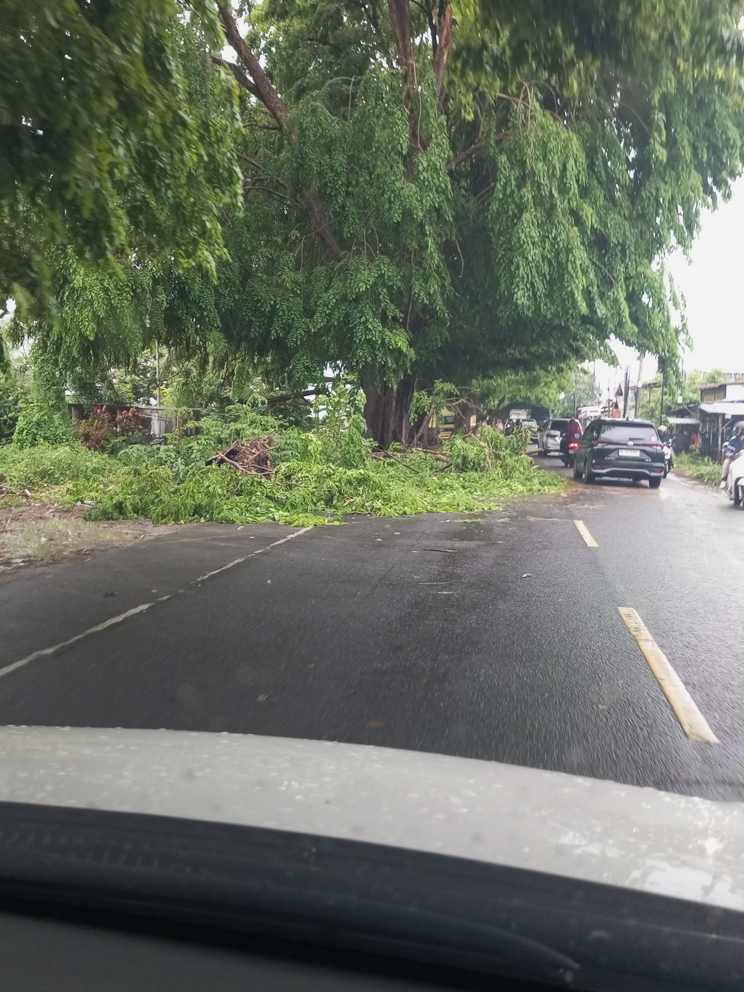 The image shows a road blocked by fallen tree branches and foliage, presumably after a storm or strong winds. The location appears to be a road in the city of Lhokseumawe, Indonesia. A large tree is visible beside the road, with branches and leaves extending over the road, some having broken and fallen. Several vehicles, including cars and motorcycles, are attempting to navigate around the obstruction. The road surface is wet, suggesting recent or ongoing rain. The view is from inside a car, looking out through the windshield.
