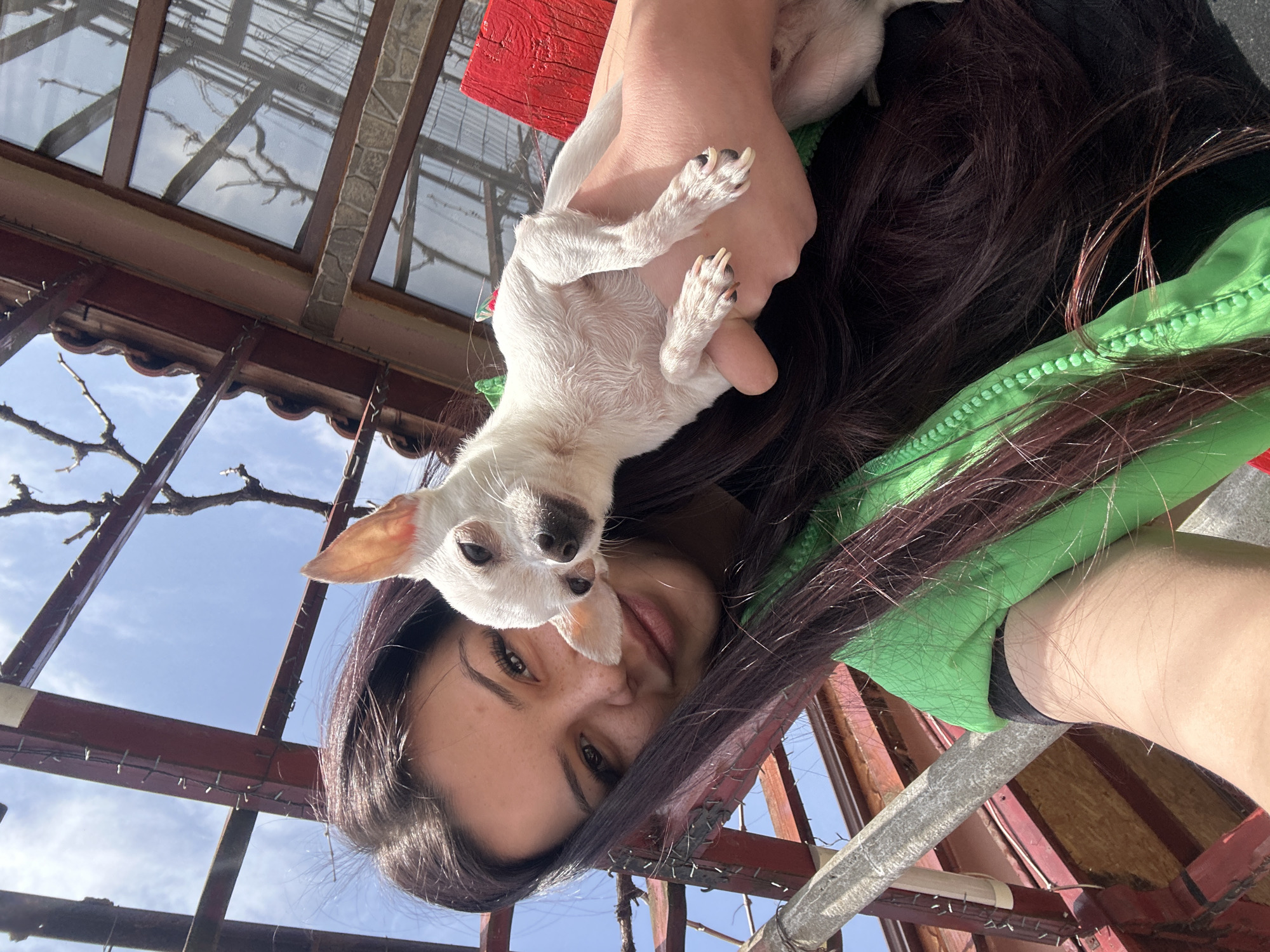 A young woman is holding a small, white dog. The woman has dark hair and is wearing a green jacket. They are outside, possibly on a balcony or patio, under a trellis-like structure made of metal and glass. The location appears to be Chubra, Bulgaria.