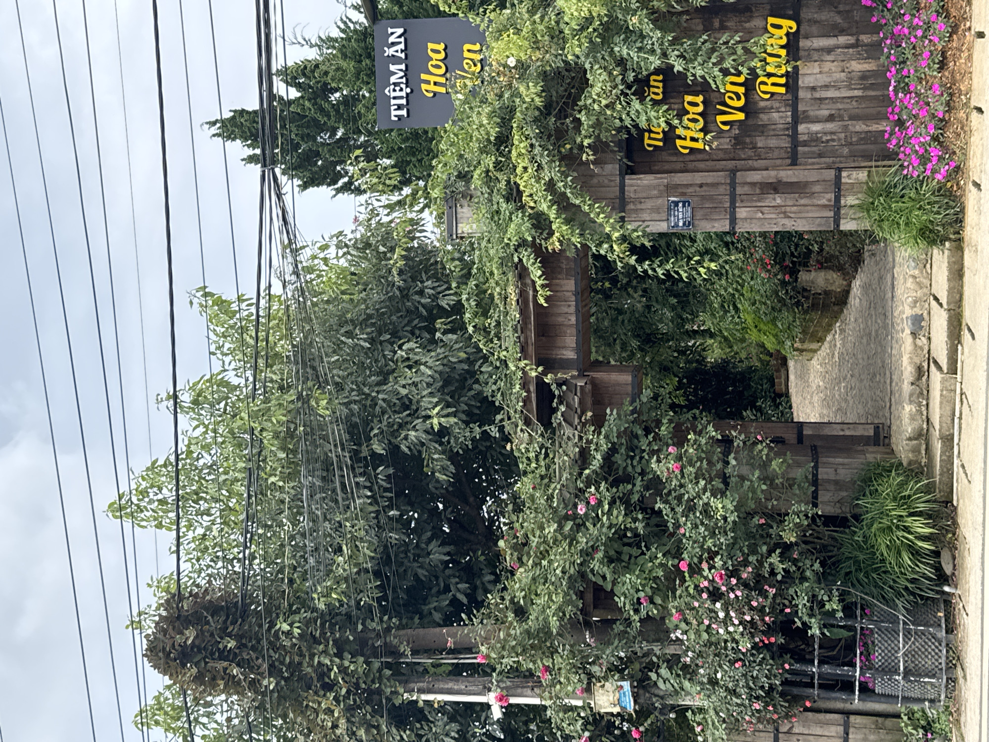 The image shows an entrance to a garden cafe named "Tiệm Ăn Hoa Ven Rừng" in Cam Ly - Đà Lạt, Vietnam. The entrance is framed by a wooden archway covered in lush green vines and pink roses. A paved pathway leads into the garden. To the right of the entrance, a wooden sign with yellow lettering displays the name of the cafe. Pink flowers are blooming in front of the sign. The background consists of dense foliage and tall trees, with power lines visible against a cloudy sky. There are no people or animals visible in the image.