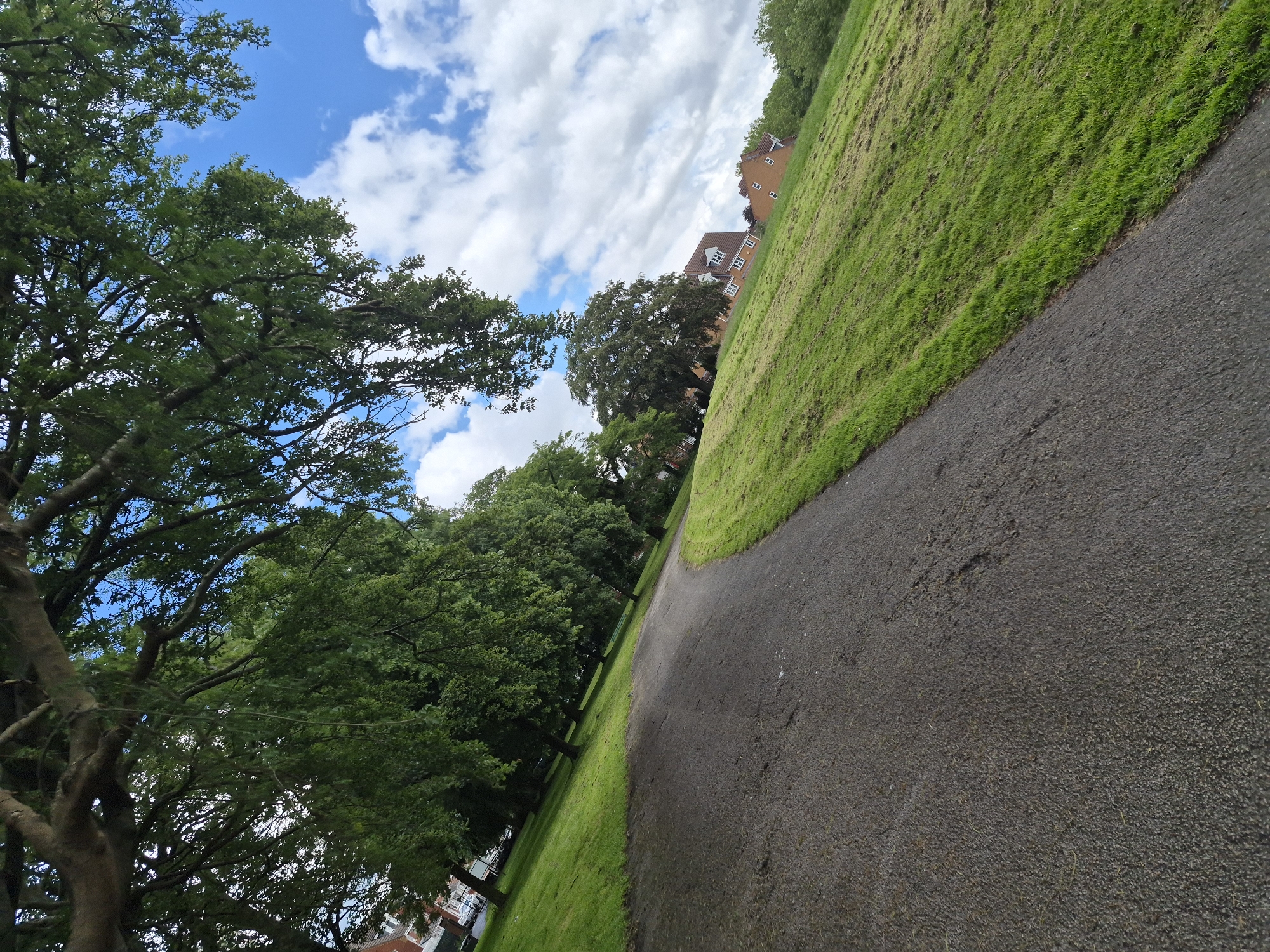 This image captures a paved path winding through a grassy park in Sandwell, United Kingdom. Large trees with dense green foliage overhang the path from the left, their branches reaching towards a bright blue sky dotted with fluffy white clouds. To the right, a gently sloping lawn, recently mowed with visible grass clippings, rises towards a line of houses in the distance. The houses appear to be terraced or semi-detached, constructed with brick and featuring white-framed windows. The overall scene suggests a peaceful, suburban park setting on a clear day.