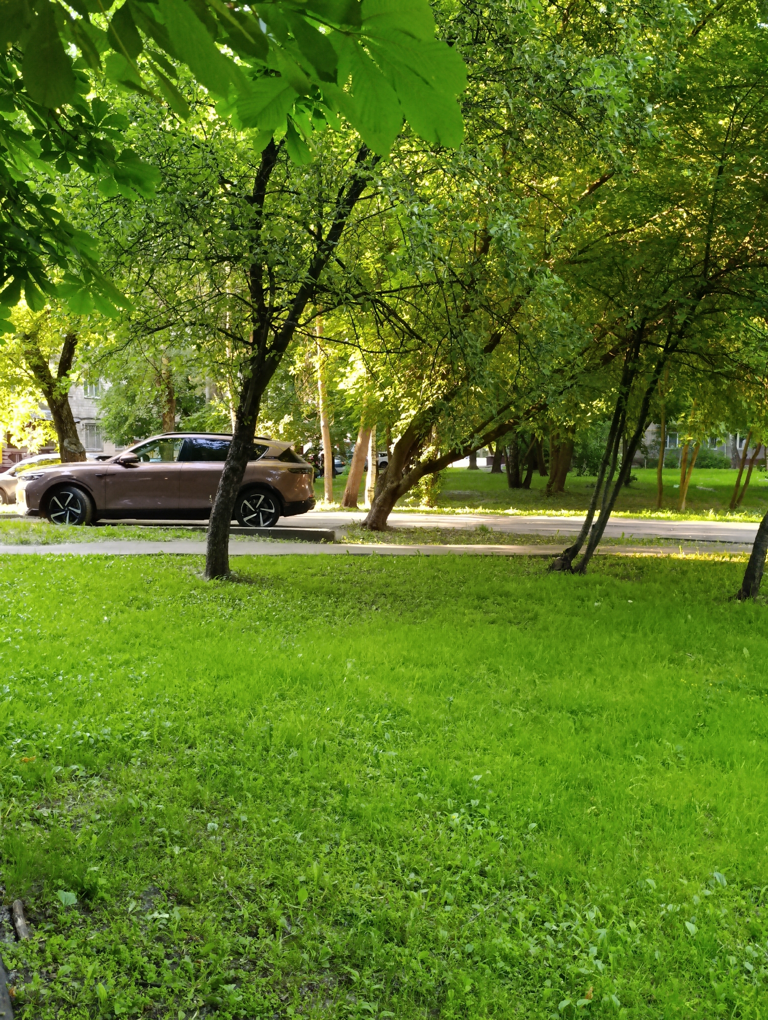 The image depicts an outdoor urban green space, likely a residential courtyard or park area, located in the city of Moscow, Russia. The scene is illuminated by natural daylight, with sunlight filtering through tree canopies, suggesting a sunny or partly sunny day.
In the foreground, a dense, verdant lawn of unmanicured green grass covers the lower half of the frame, displaying varying textures and some darker, possibly damp, patches of soil. No individuals or objects are present within the immediate foreground.
The midground features a light-colored paved path or narrow road running horizontally across the image. Several trees with dark trunks and vibrant green foliage are distributed along and behind this path. A prominent tree trunk stands near the center of the frame, and a multi-trunked tree is visible on the right. A modern, metallic brown/rose gold SUV or crossover, identifiable as a Li Auto L7 or L8 model by its distinct body shape and two-toned, multi-spoke wheels, is parked or slowly moving on the paved surface to the left. The vehicle faces left, and no occupants are visible.
In the background, a light-colored, multi-story residential building with multiple windows is partially visible through the trees on the left. Its architectural style is consistent with common Soviet-era or post-Soviet residential constructions found throughout Moscow. Additional trees and indistinct structures are visible in the background on the right side of the image. No people are present anywhere in the scene.