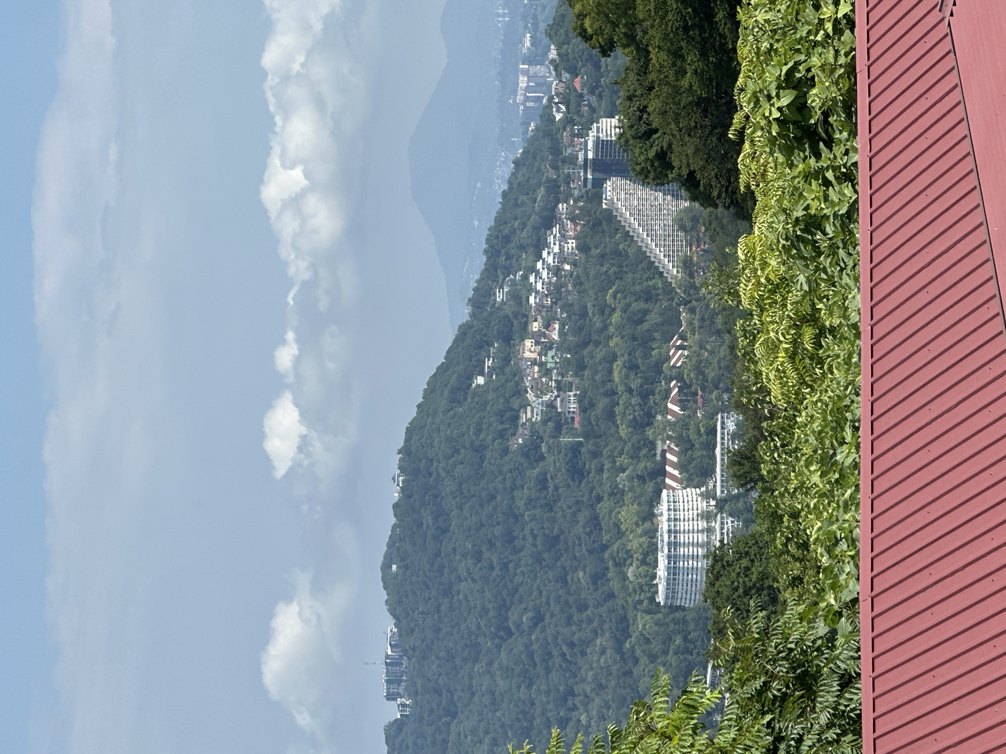 This image shows a panoramic view of a hillside cityscape in Uch-Dere, Russia. In the foreground, a red metal roof with corrugated panels is visible. Behind the roof, lush green foliage with large leaves dominates the mid-ground, obscuring the lower parts of the buildings.
The hillside itself is densely covered with green trees, and scattered amongst them are numerous buildings of various architectural styles and sizes. Closer to the viewer, on the left side of the hill, a large, circular, multi-story white building is prominent. Further up the hill, many smaller residential buildings with white and tiled roofs are clustered together.
In the middle distance, a striking, stepped, pyramid-shaped white building stands out. To its right, a modern glass-fronted skyscraper is visible. On the crest of the furthest visible hill, a complex of larger, darker buildings, possibly hotels or apartment blocks, can be seen, along with what appears to be a telecommunications tower. In the background, distant hazy mountains form the horizon under a light blue sky dotted with white clouds. The scene suggests a resort town nestled in a hilly, forested environment.