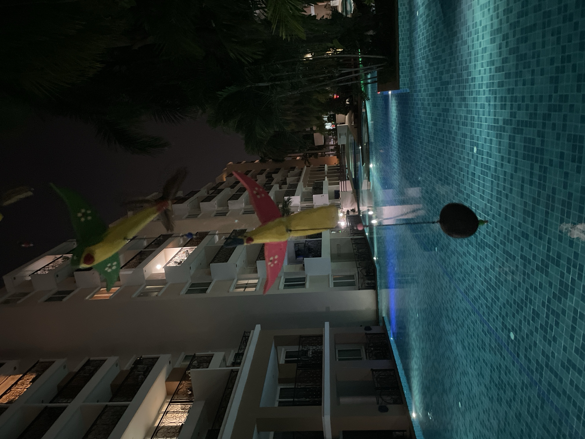 At night, in Pattaya City, Thailand, a swimming pool is illuminated with blue lights. The water is a vibrant turquoise. On the right side of the frame, palm trees are visible, their fronds dark against the night sky. A building with multiple floors, balconies, and lit windows stands on the left. Suspended from above, a string of decorative objects, shaped like colorful kites or fish, hangs over the pool. One of these objects, in shades of green and yellow, is in the upper part of the frame, while another, in red and yellow, is further down. A dark, spherical object, possibly a coconut, hangs at the bottom of the string. The overall scene depicts a tropical setting at night, with a focus on the swimming pool and the decorative elements.