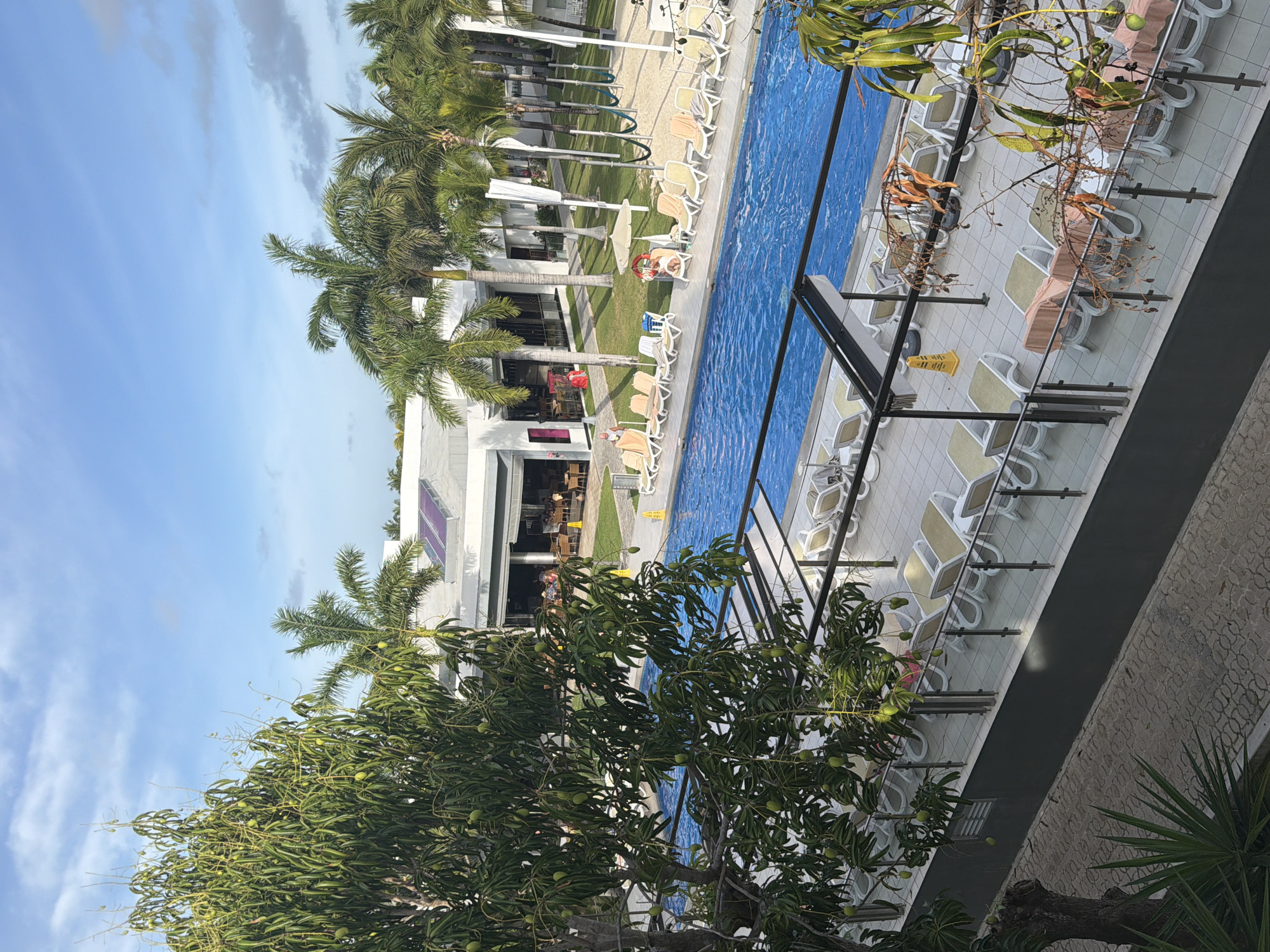 The image depicts an outdoor pool area at an apparent resort in Playa del Carmen, Mexico. A long, blue-tiled swimming pool is visible, surrounded by lounge chairs and palm trees. Some lounge chairs have towels on them, suggesting recent or current use. A multi-story white building is adjacent to the pool, likely part of the resort. The sky is blue with scattered clouds. A tree with green leaves and fruit is in the foreground. A black metal structure is on the right side of the pool.
