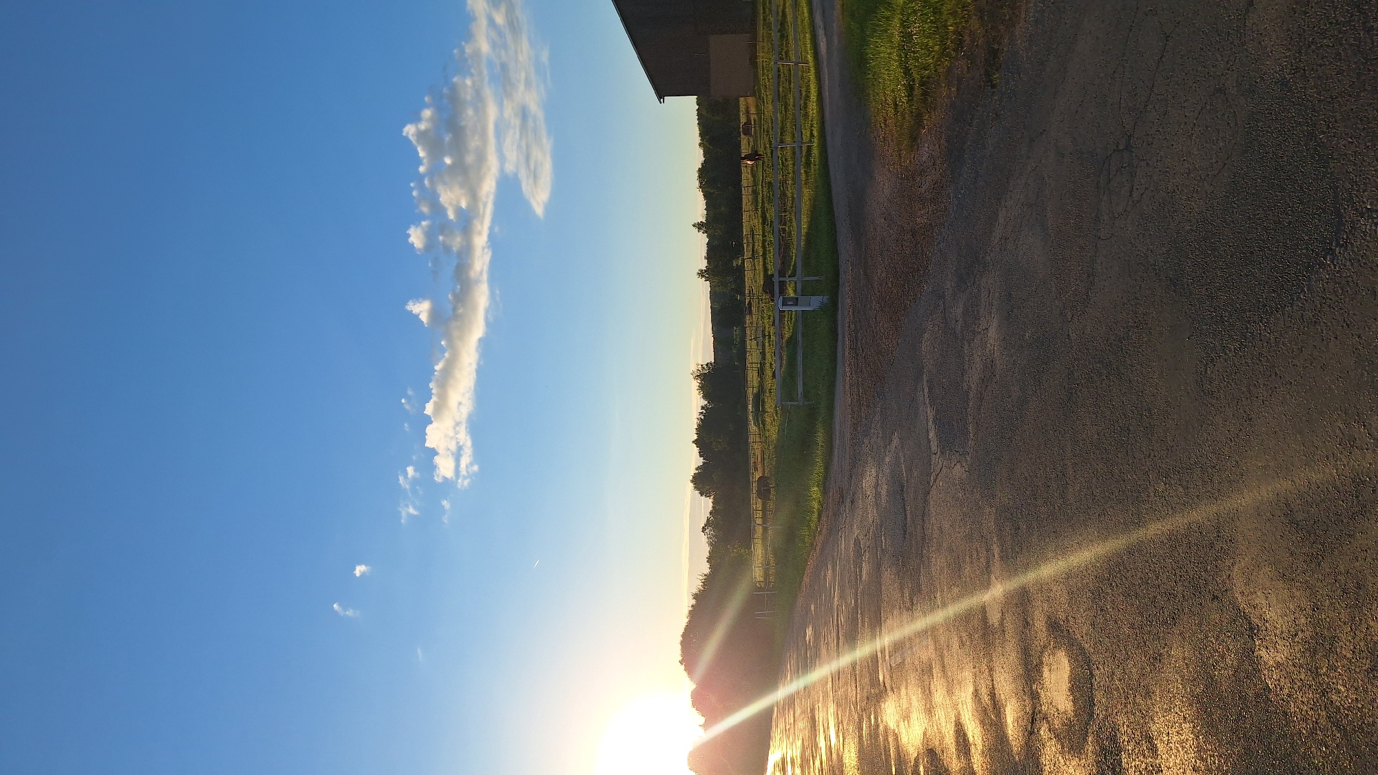 The image shows a rural scene at sunset. In the foreground, a dark asphalt road with some patches of standing water reflects the golden light of the sun. A bright sunburst originates from the left side of the image and extends across the road and into the middle ground.
The middle ground features a green pasture enclosed by a wooden fence. Several horses are visible grazing in the pasture. Beyond the pasture, a line of trees forms the horizon.
In the background, a large dark-colored barn is visible on the right side of the image. The sky is a clear blue with scattered white clouds, illuminated by the setting sun. The overall impression is one of peaceful countryside scenery at dusk. The location is identified as Unknown, Latvia.