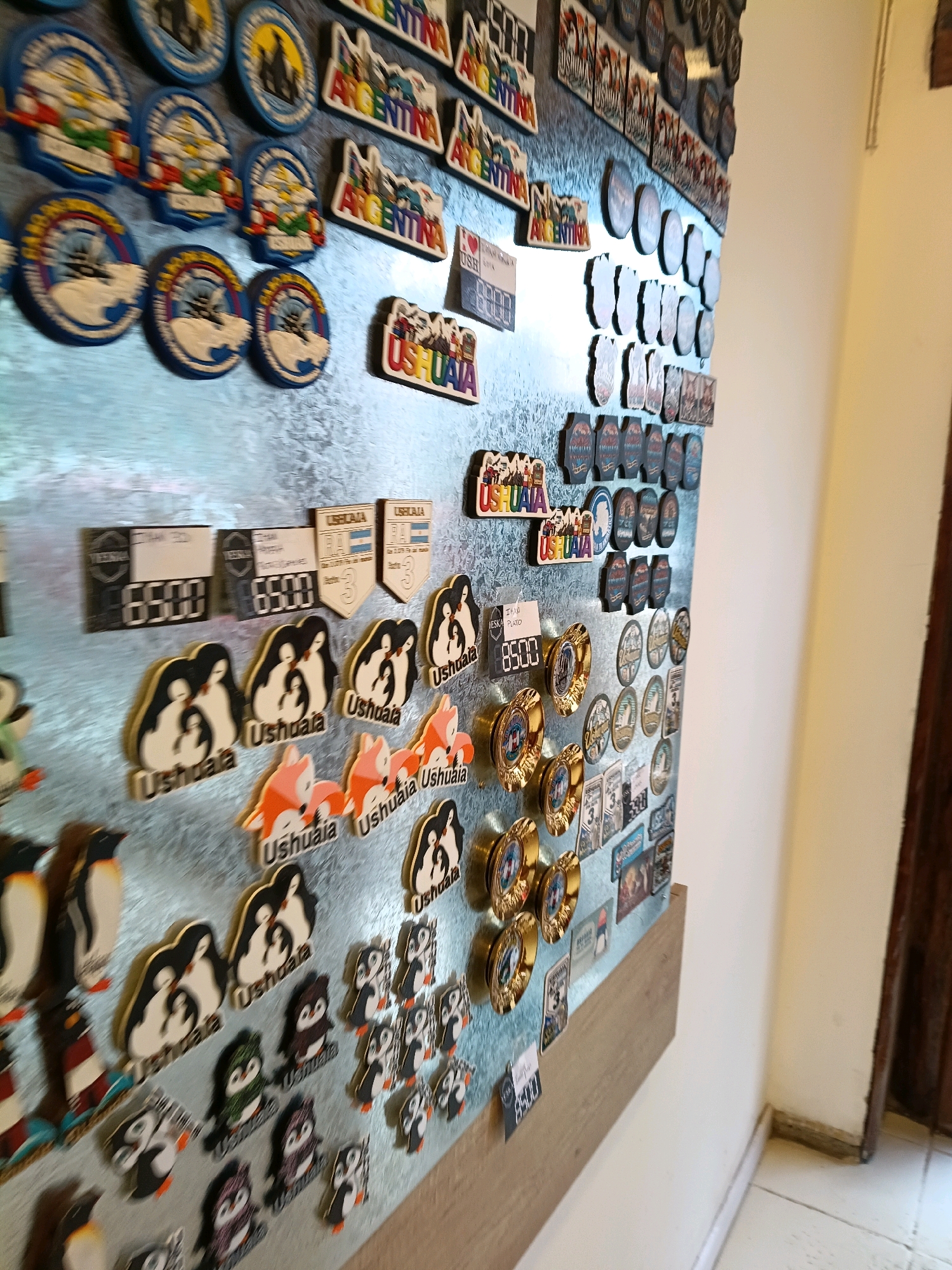 The image shows a close-up of a collection of magnets affixed to a galvanized steel surface, likely a refrigerator or a magnetic board. The magnets are predominantly souvenir magnets depicting various scenes and motifs. Several magnets feature the word "Ushuaia" prominently, indicating that this collection is from the city of Ushuaia, Argentina, which is known as the "City at the End of the World."
Specific magnet designs visible include:
* **Penguins:** Numerous magnets depict stylized penguins, some in family groups and others individually. These are likely representations of the penguins found in the region.
* **Argentinian motifs:** Some magnets have "Argentina" written on them, often with imagery related to the country.
* **Circular emblems:** There are many circular magnets with detailed designs, some appearing to be commemorative or representative of specific locations or events within Ushuaia.
* **Rectangular tags:** A few rectangular magnets resemble price tags or informational labels, with numbers like "8500" and text that is mostly unreadable.
* **Architectural elements:** Some magnets depict buildings or landmarks, possibly in Ushuaia.
* **Foxes:** A few magnets show stylized orange foxes.
The magnets are arranged in a dense, somewhat overlapping manner, suggesting a long-term accumulation of souvenirs. The lighting suggests an indoor environment, possibly a shop or a home. The overall impression is that of a display of tourist memorabilia from Ushuaia. The background shows a white wall and a hint of a wooden door frame.