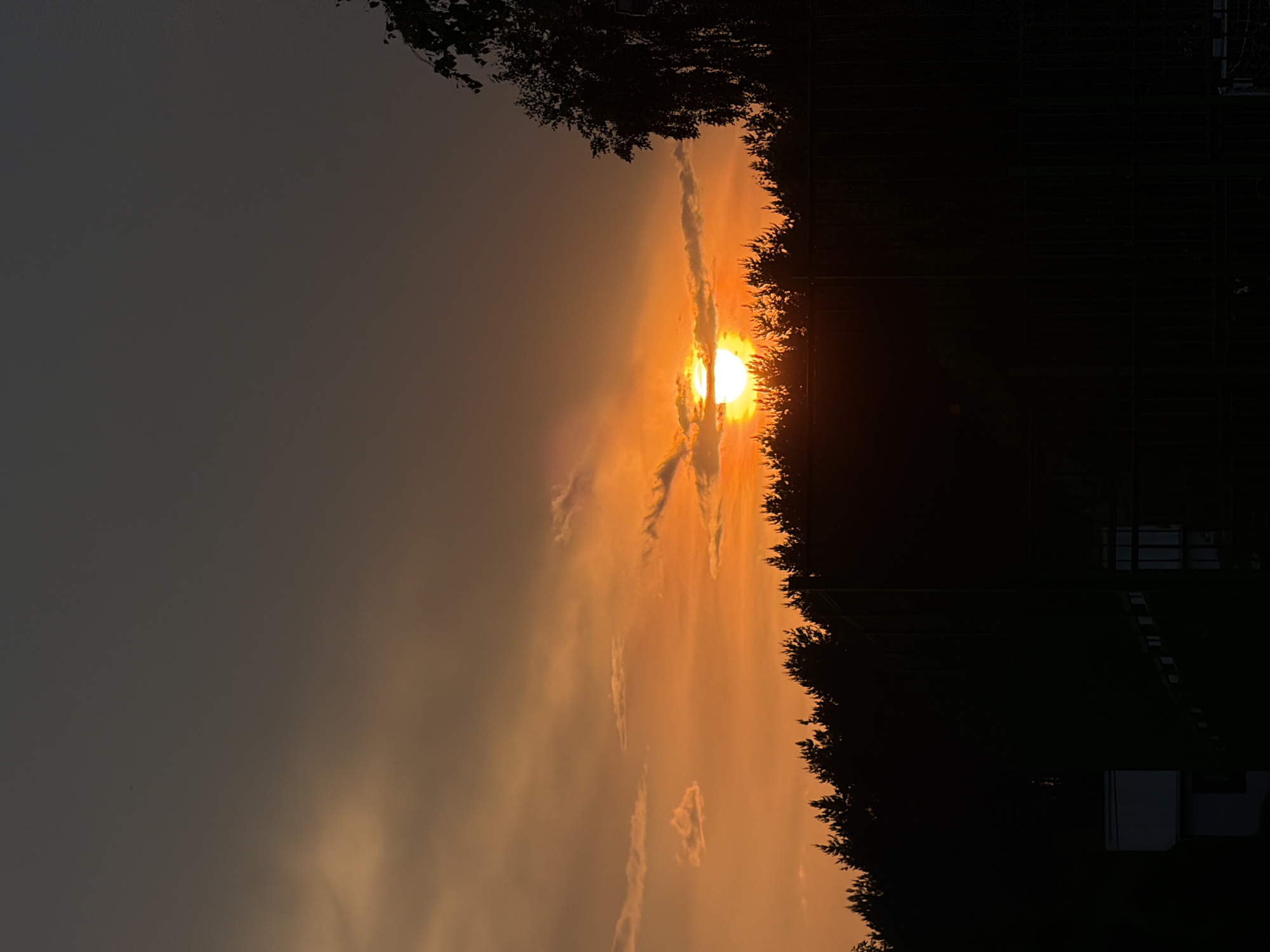 An image depicts a sunset over the forested outskirts of Satino-Russkoe, Russia. The sky is a gradient of deep grey at the top, transitioning to a vibrant orange towards the horizon, illuminated by the setting sun. Several wispy clouds are scattered across the sky, catching the warm light. A dense line of dark, silhouetted trees forms the foreground, with the sun partially obscured by the treeline, creating a luminous halo effect. A dark fence structure is visible along the bottom of the frame, and to the left, a portion of a light-colored building with a dark rectangular opening is present. To the far right, the silhouette of a large tree with hanging branches is also visible against the sky. The overall scene is one of a natural landscape at dusk, with man-made structures subtly integrated into the environment.