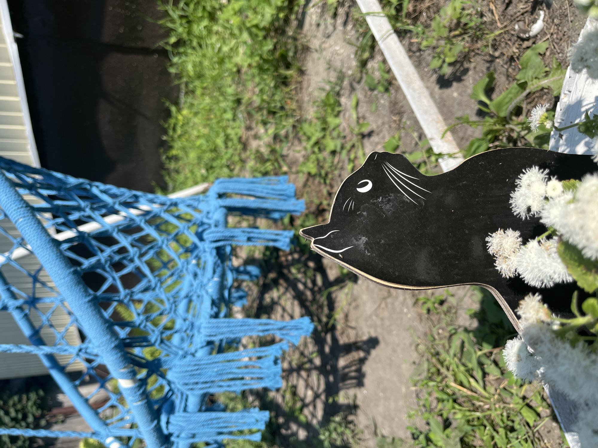 A black cutout of a cat's profile is positioned in the foreground of the image, facing right. The cat cutout has white detailing for its eye, whiskers, and a tuft of fur at its ear. In front of the cat cutout, there are several fluffy white flowers, some of which are in focus and others are blurred. In the background, a bright blue hammock with macrame detailing is visible, hanging from unseen supports. The hammock casts a distinct shadow on the ground. The environment appears to be outdoors, with green grass and a dirt path visible. The overall setting suggests a backyard or garden area. There are no people or animals present. The image is taken from a slightly elevated perspective looking down. The location is not specified within the image itself, therefore I cannot confirm if it is in Saratov, Russia.